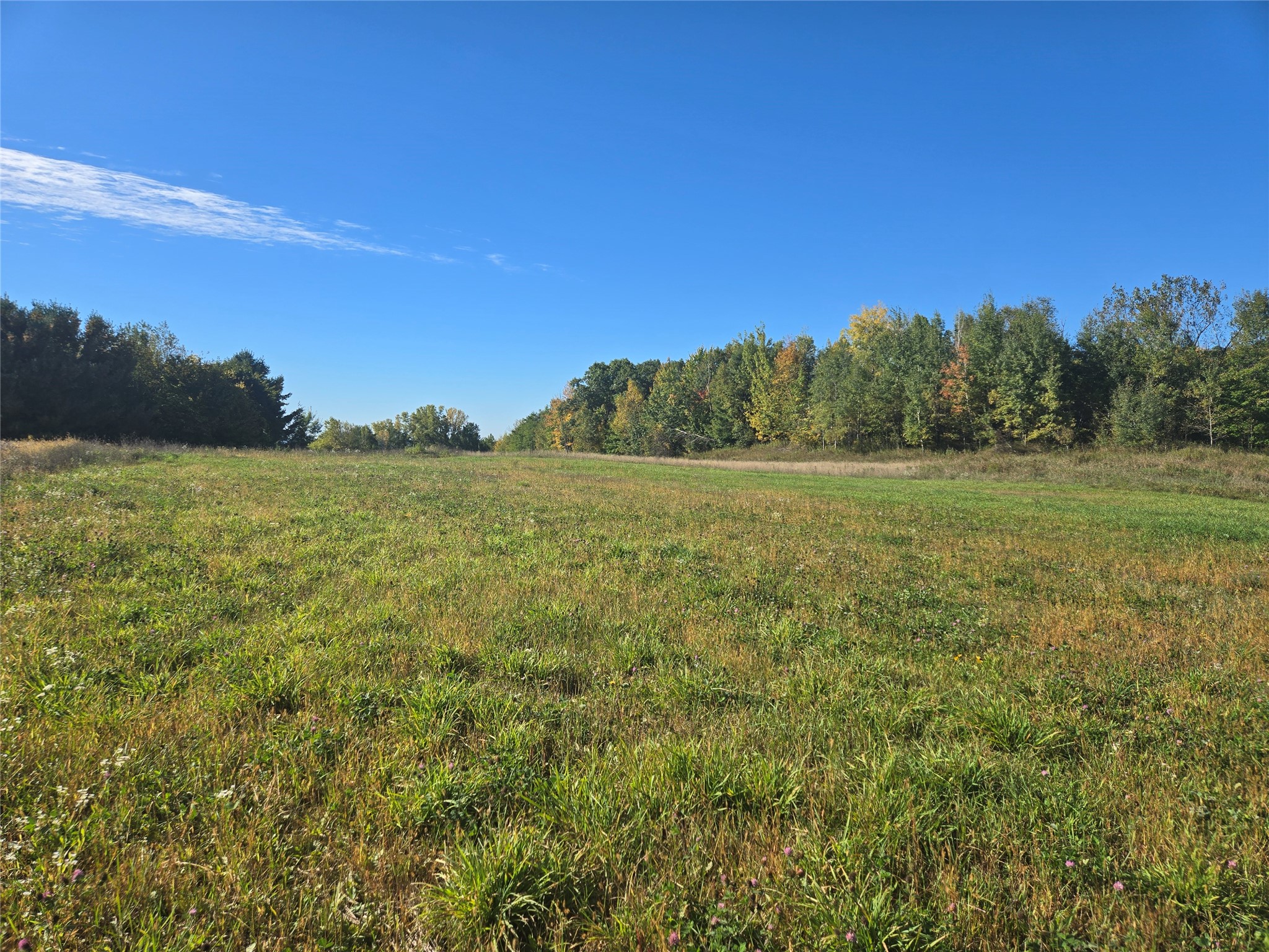 5 Acres 180th Street Property Photo 6