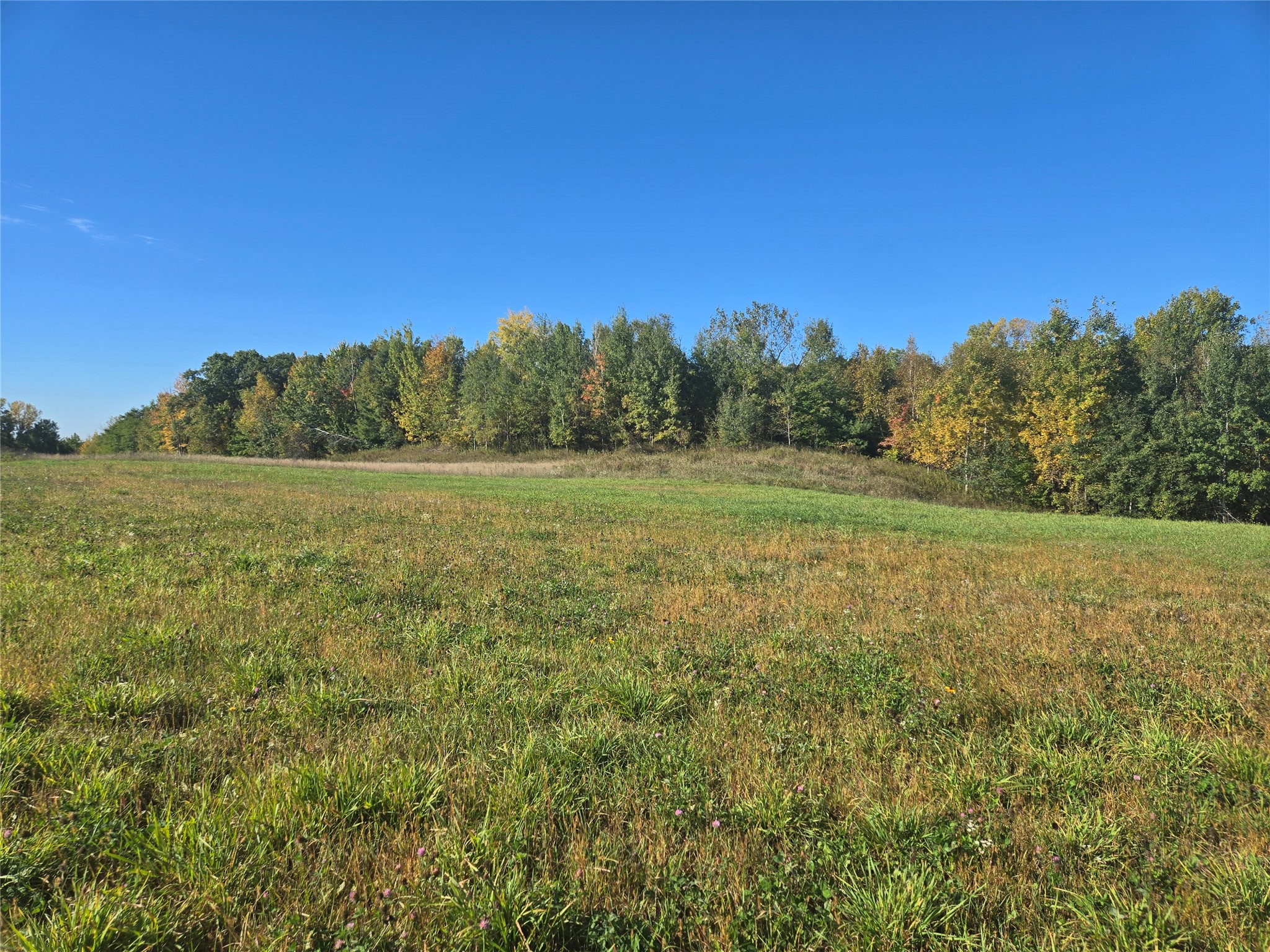 5 Acres 180th Street Property Photo 7