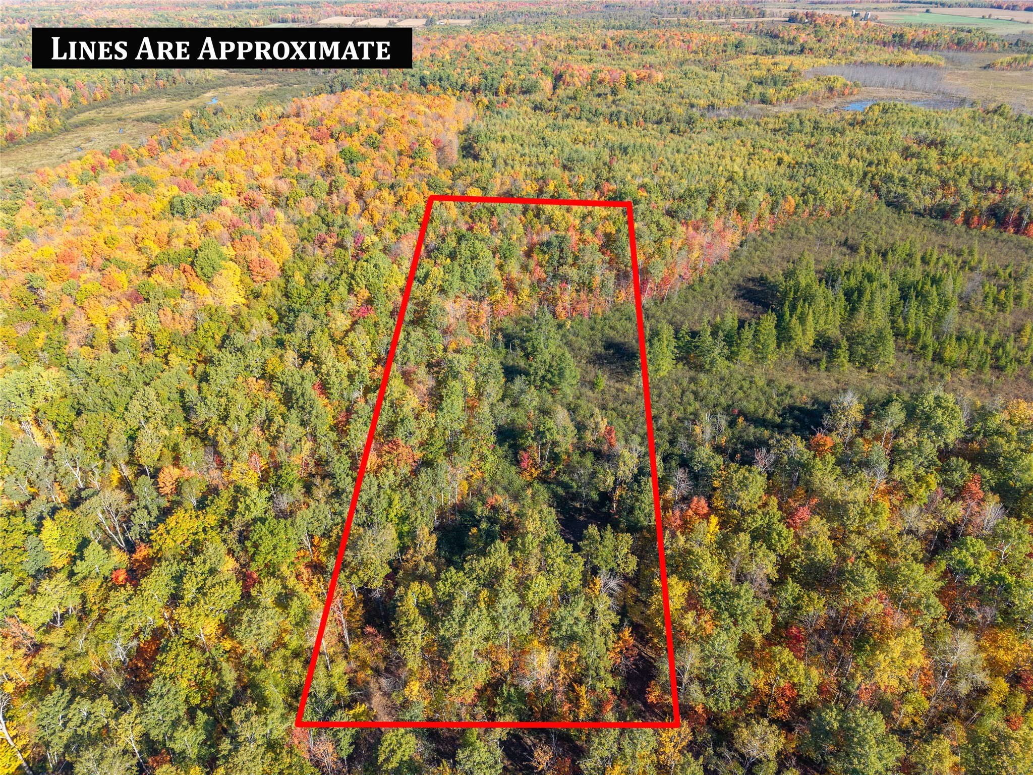 5 Acres Aggie Lane Property Photo 2