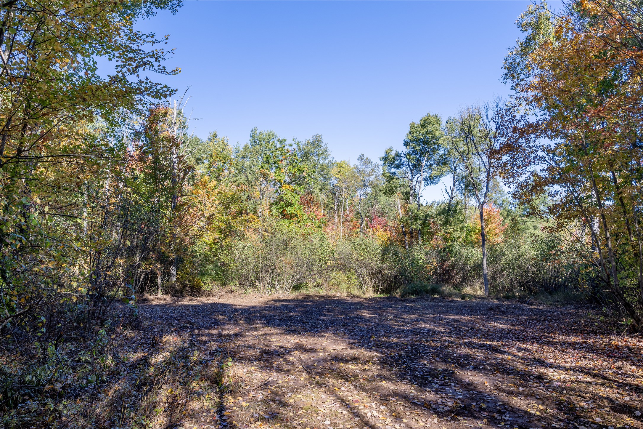 5 Acres Aggie Lane Property Photo 8