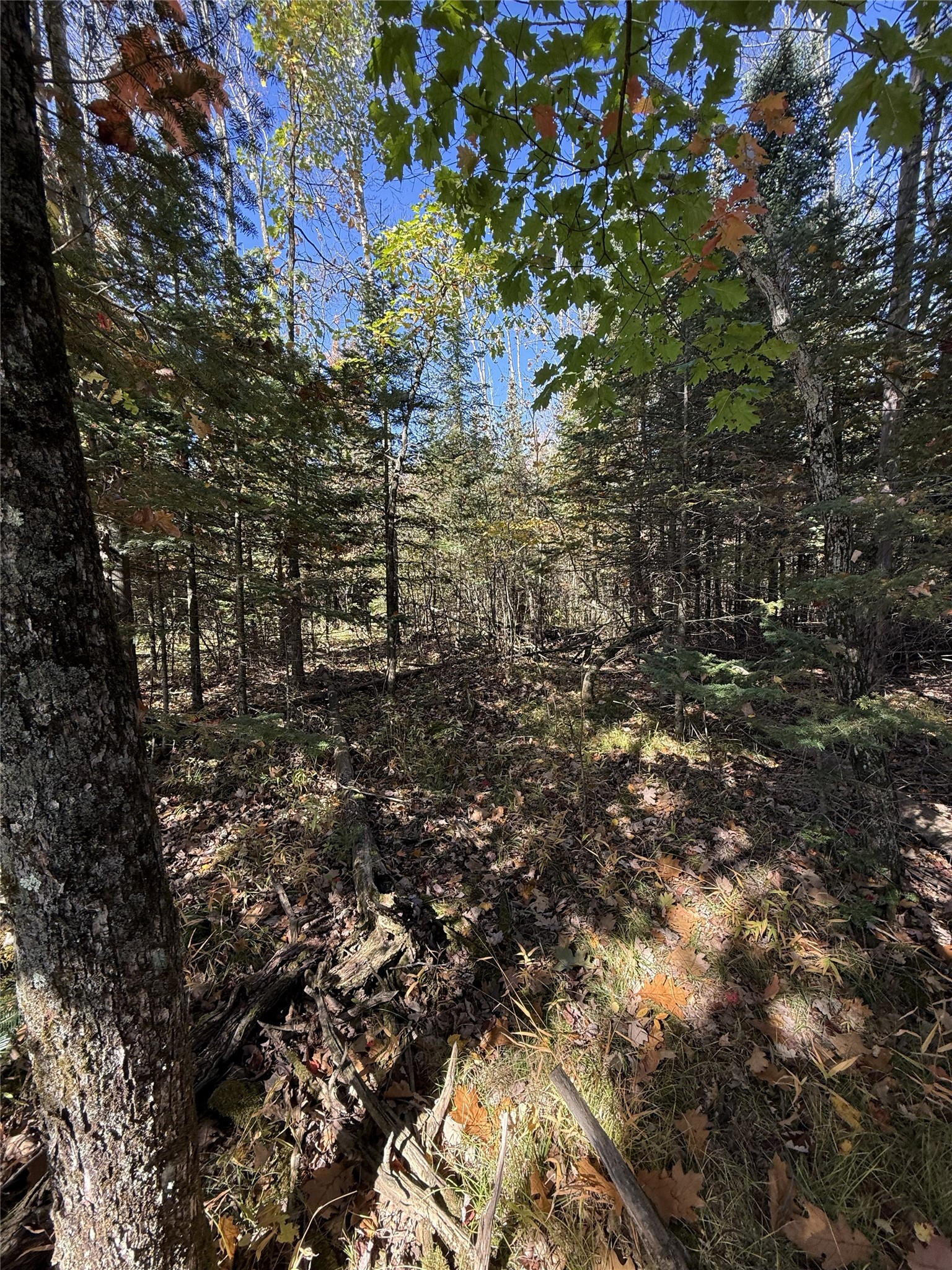 W8794 Moonshine Alley Lot 1 Property Photo 5