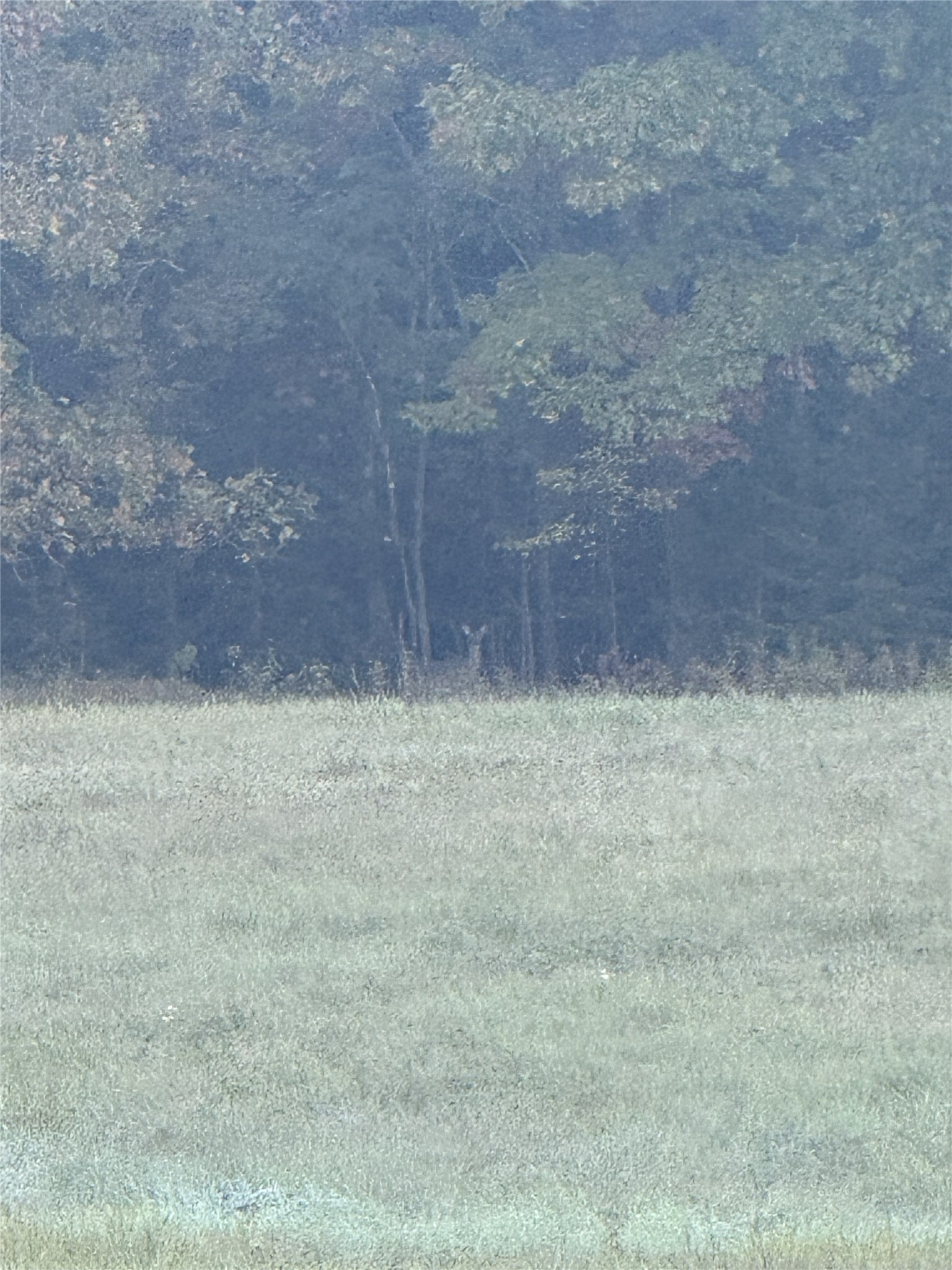 W8794 Moonshine Alley Lot 1 Property Photo 6