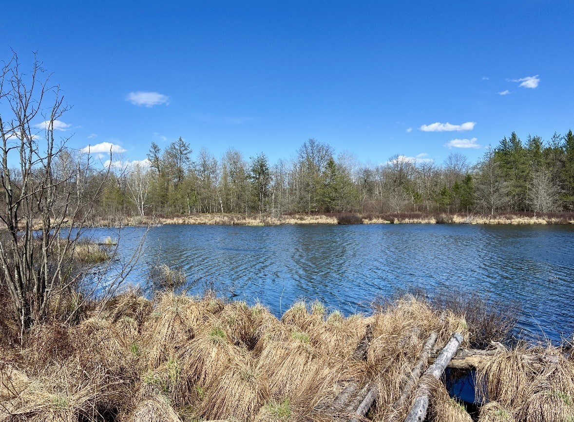 9524 E Bergen Springs Road Property Photo 4