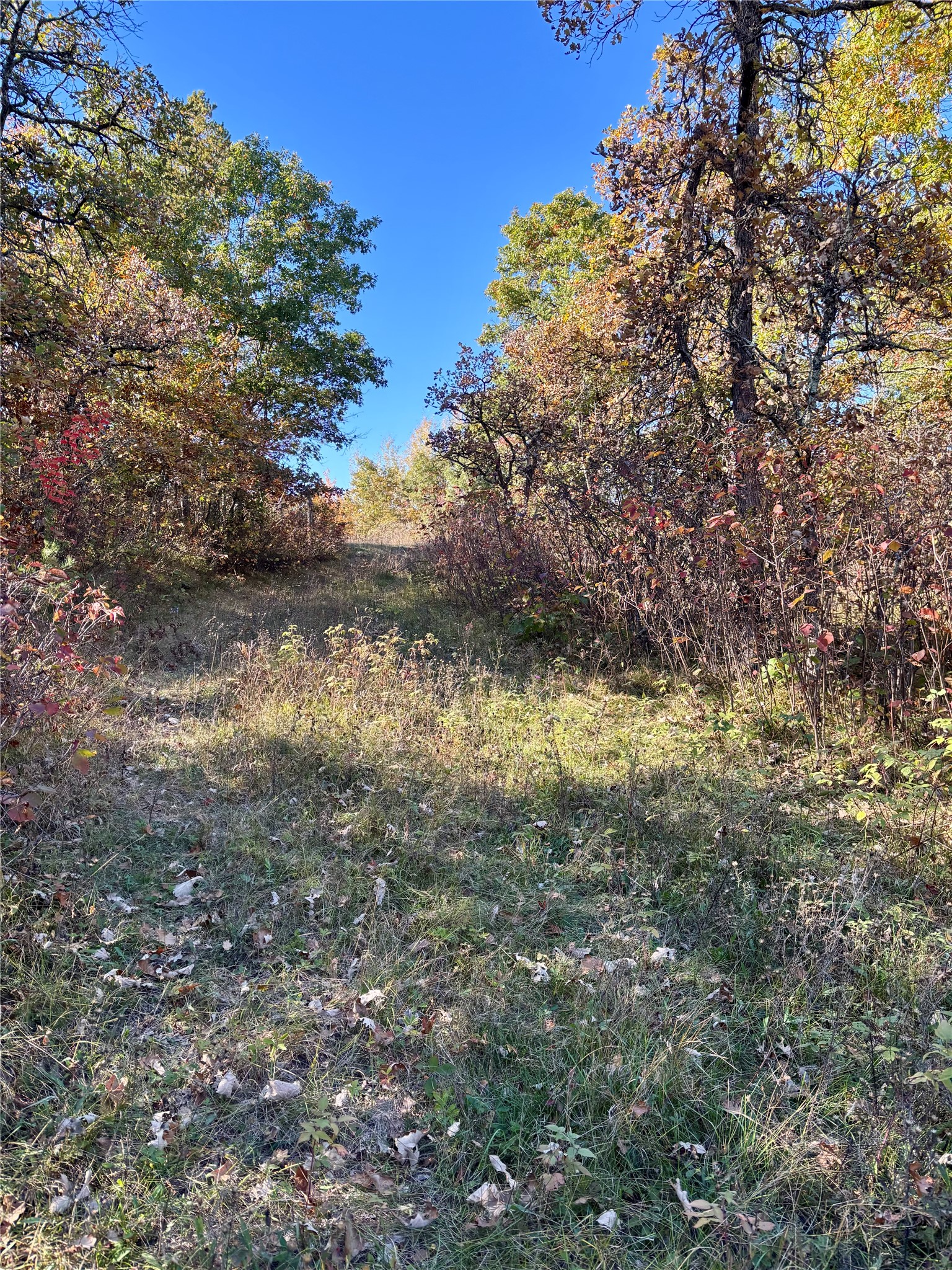 9524 E Bergen Springs Road Property Photo 10