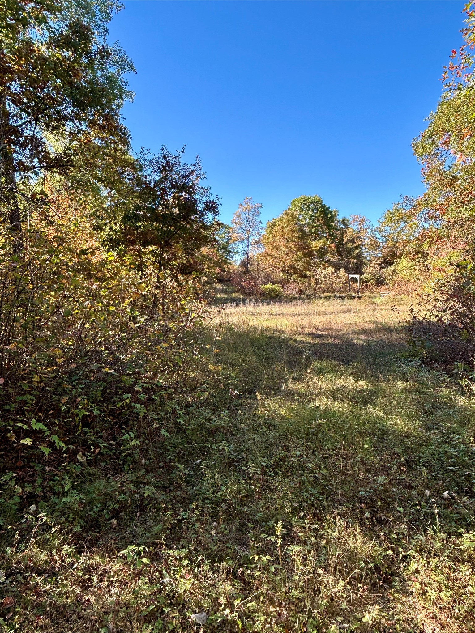 9524 E Bergen Springs Road Property Photo 11