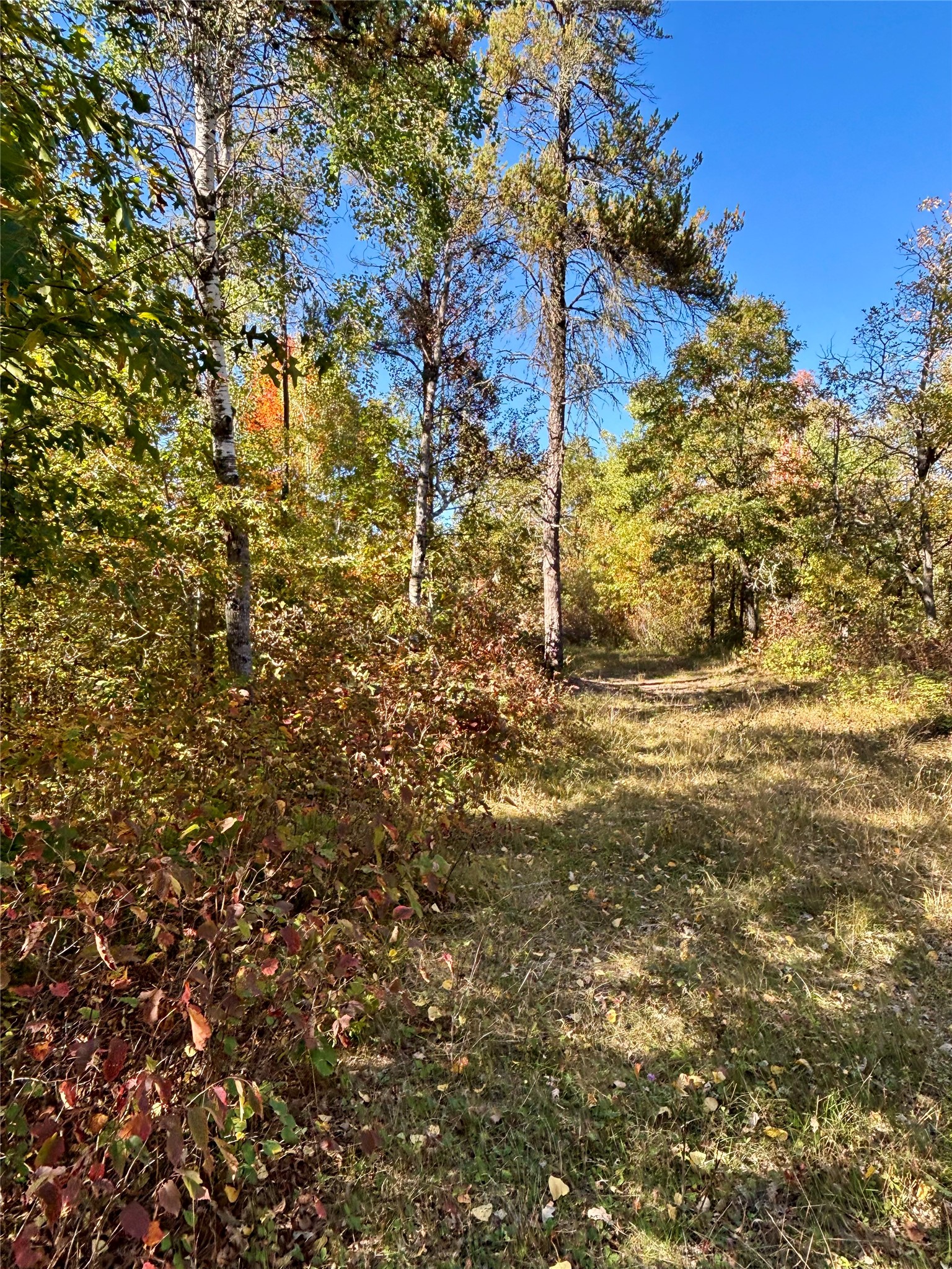 9524 E Bergen Springs Road Property Photo 12