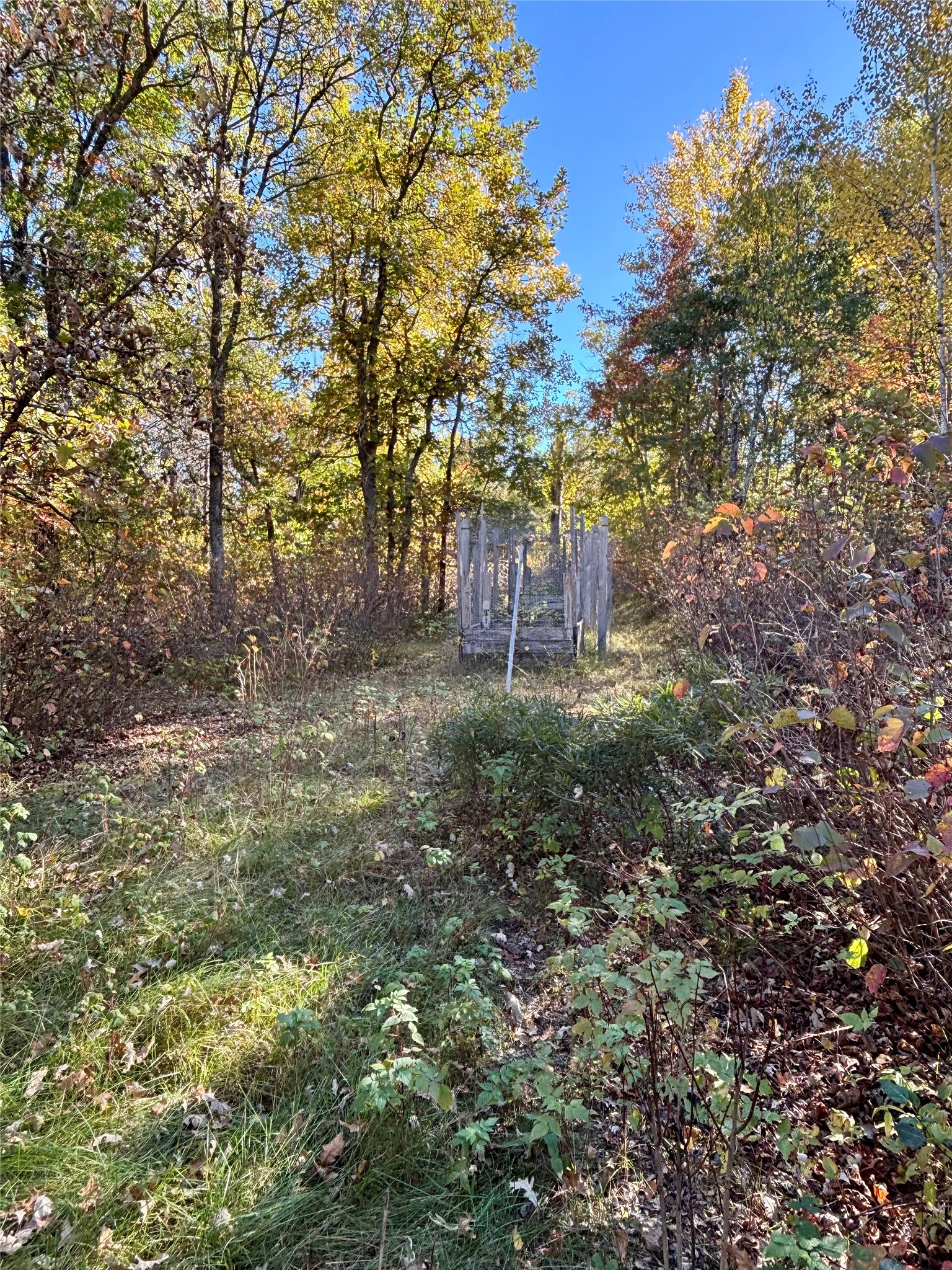 9524 E Bergen Springs Road Property Photo 13