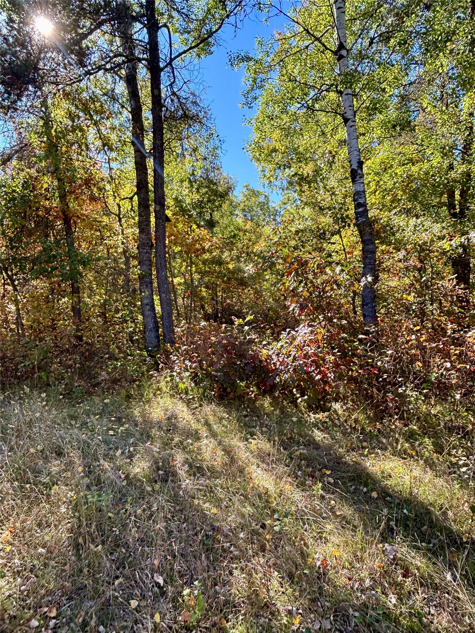 9524 E Bergen Springs Road Property Photo 16