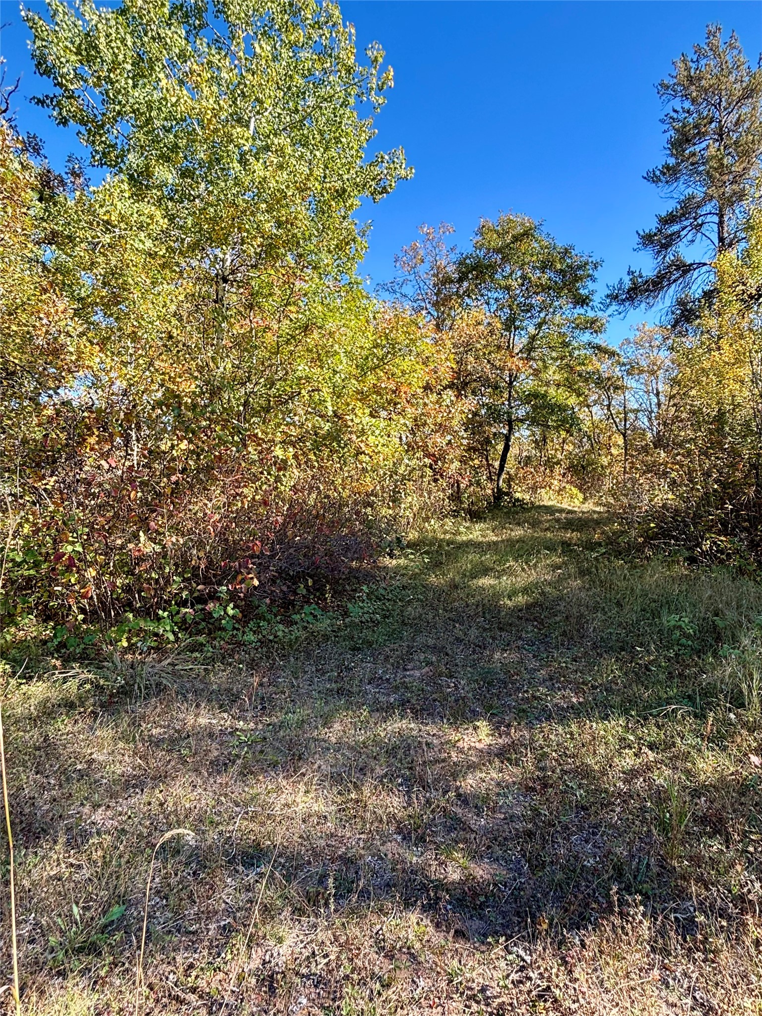 9524 E Bergen Springs Road Property Photo 18