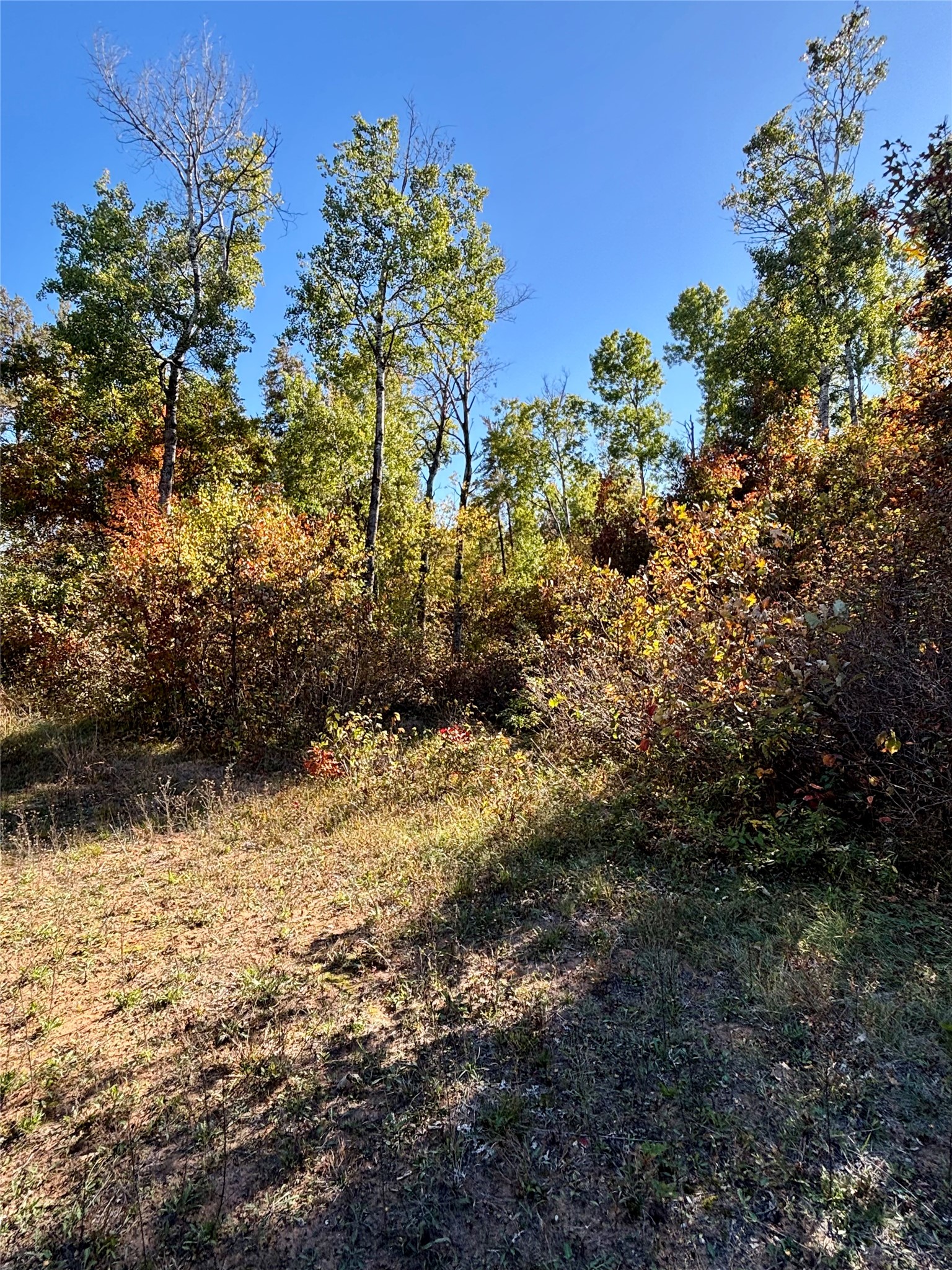 9524 E Bergen Springs Road Property Photo 19