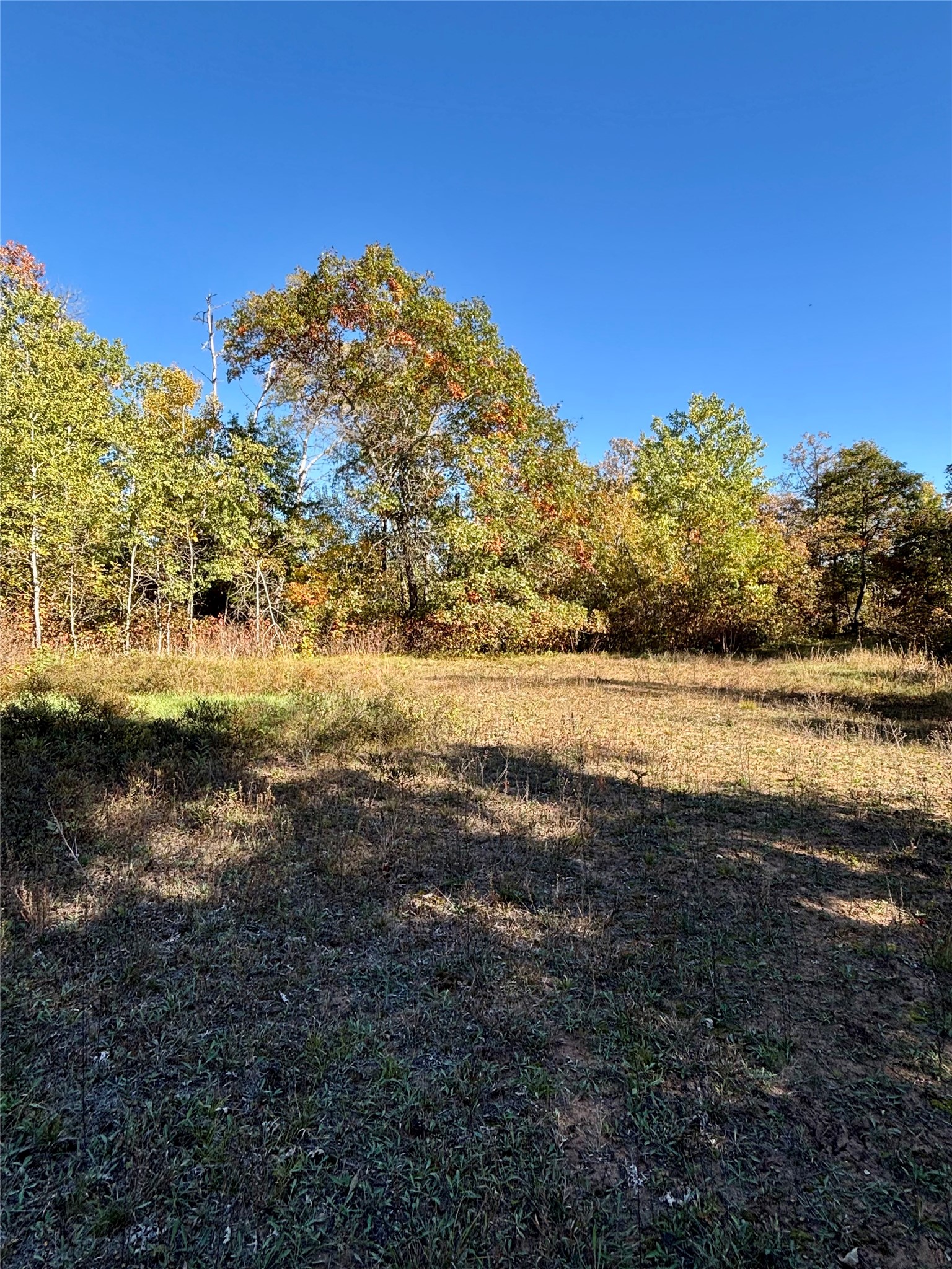 9524 E Bergen Springs Road Property Photo 20