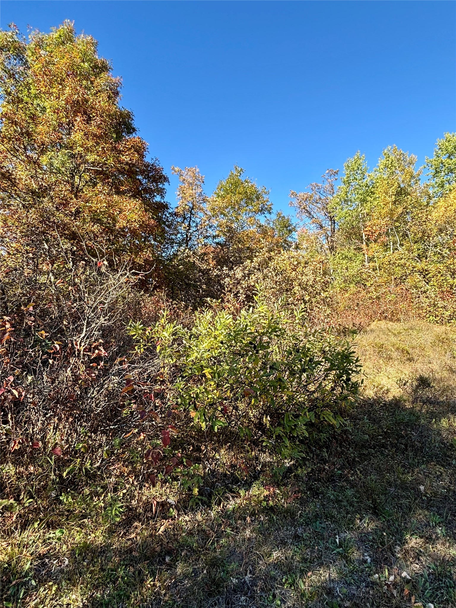 9524 E Bergen Springs Road Property Photo 21