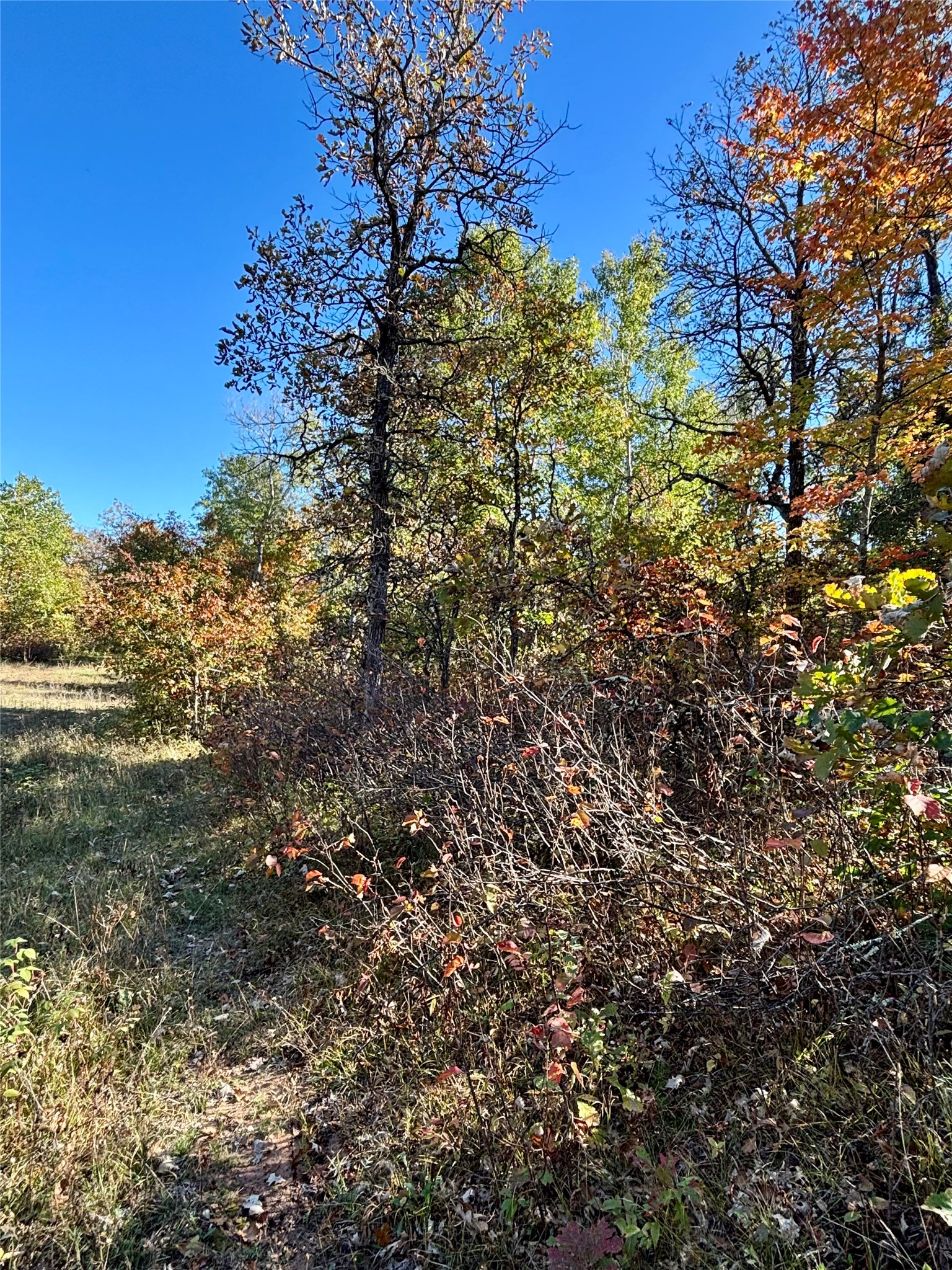 9524 E Bergen Springs Road Property Photo 22
