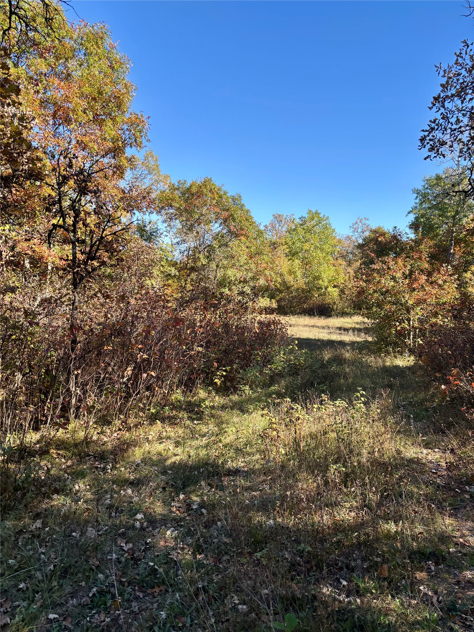 9524 E Bergen Springs Road Property Photo 23