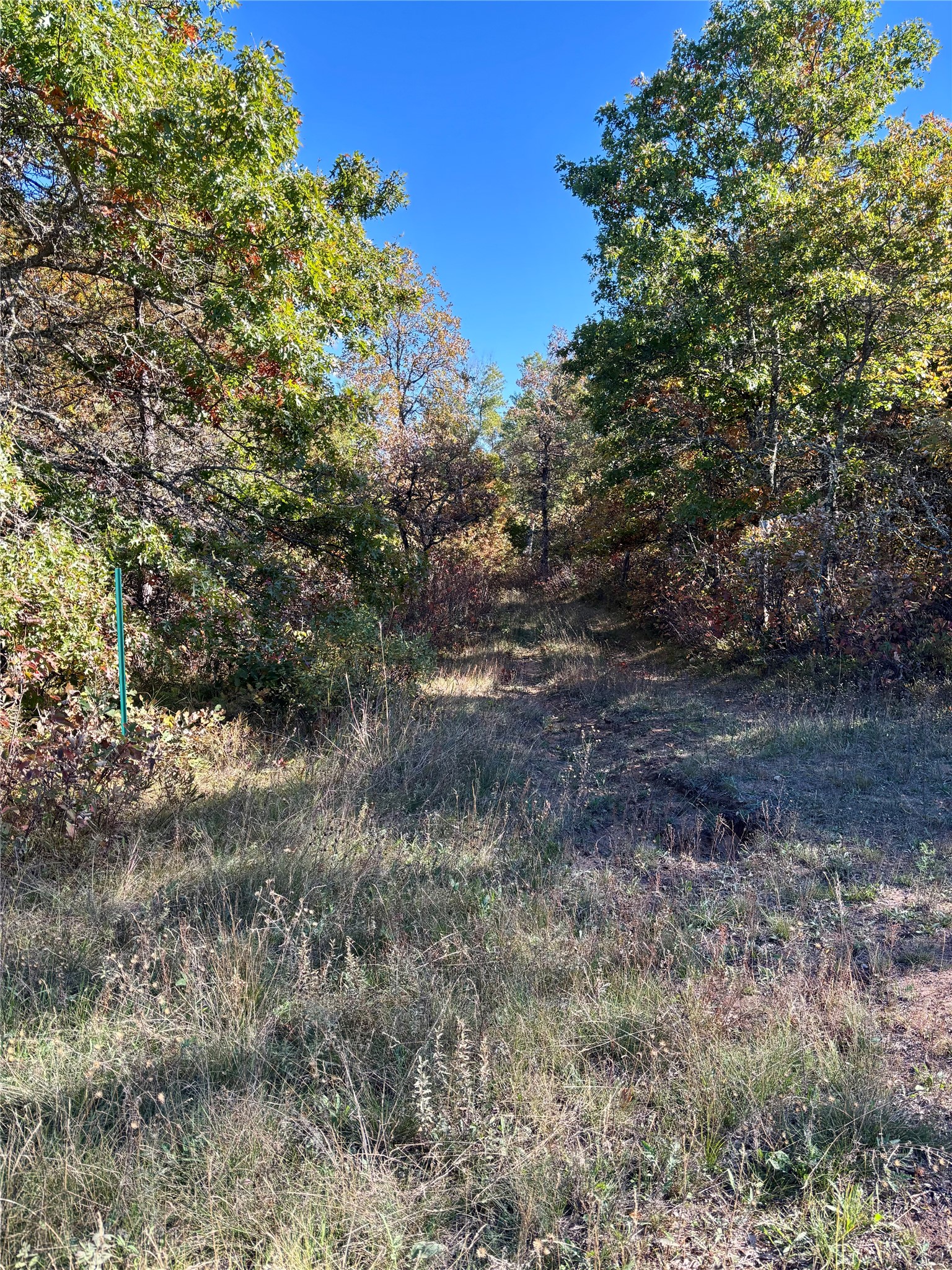 9524 E Bergen Springs Road Property Photo 24