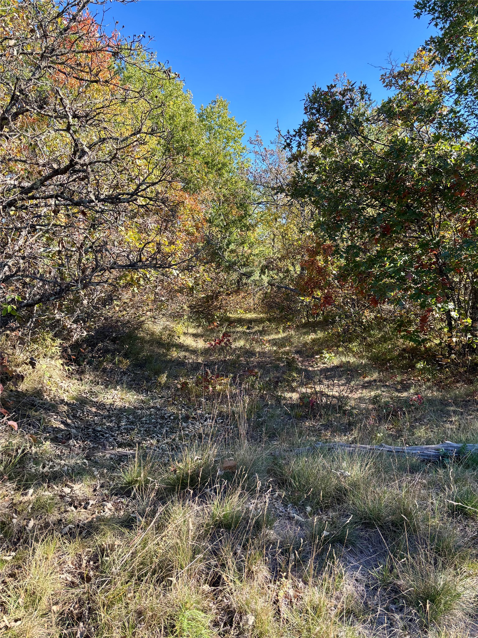 9524 E Bergen Springs Road Property Photo 25
