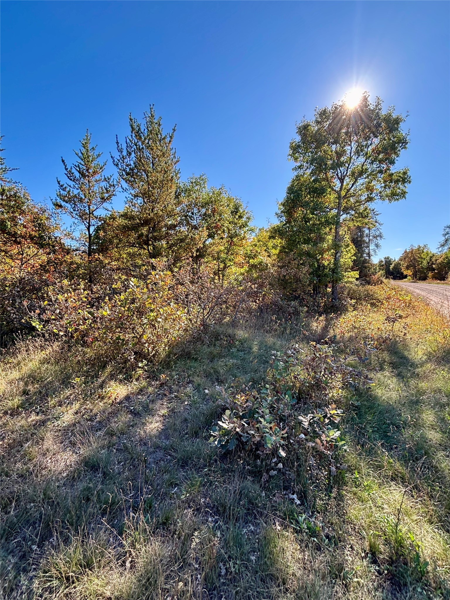 9524 E Bergen Springs Road Property Photo 26