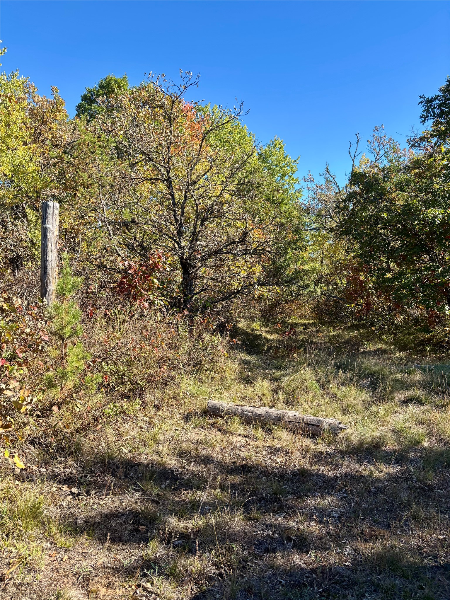 9524 E Bergen Springs Road Property Photo 27