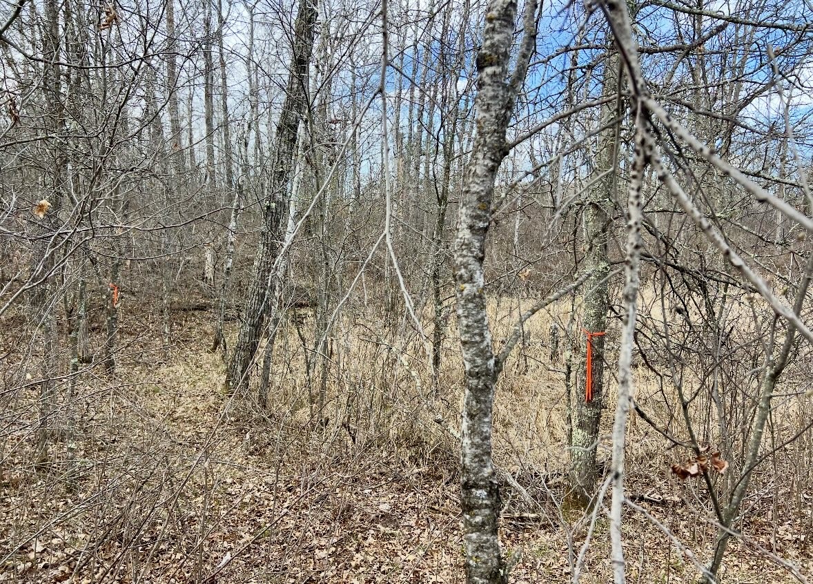 9524 E Bergen Springs Road Property Photo 31
