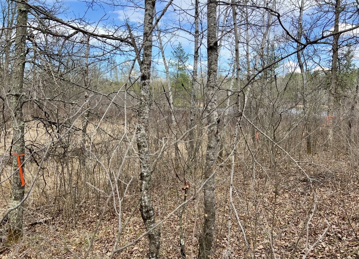 9524 E Bergen Springs Road Property Photo 32