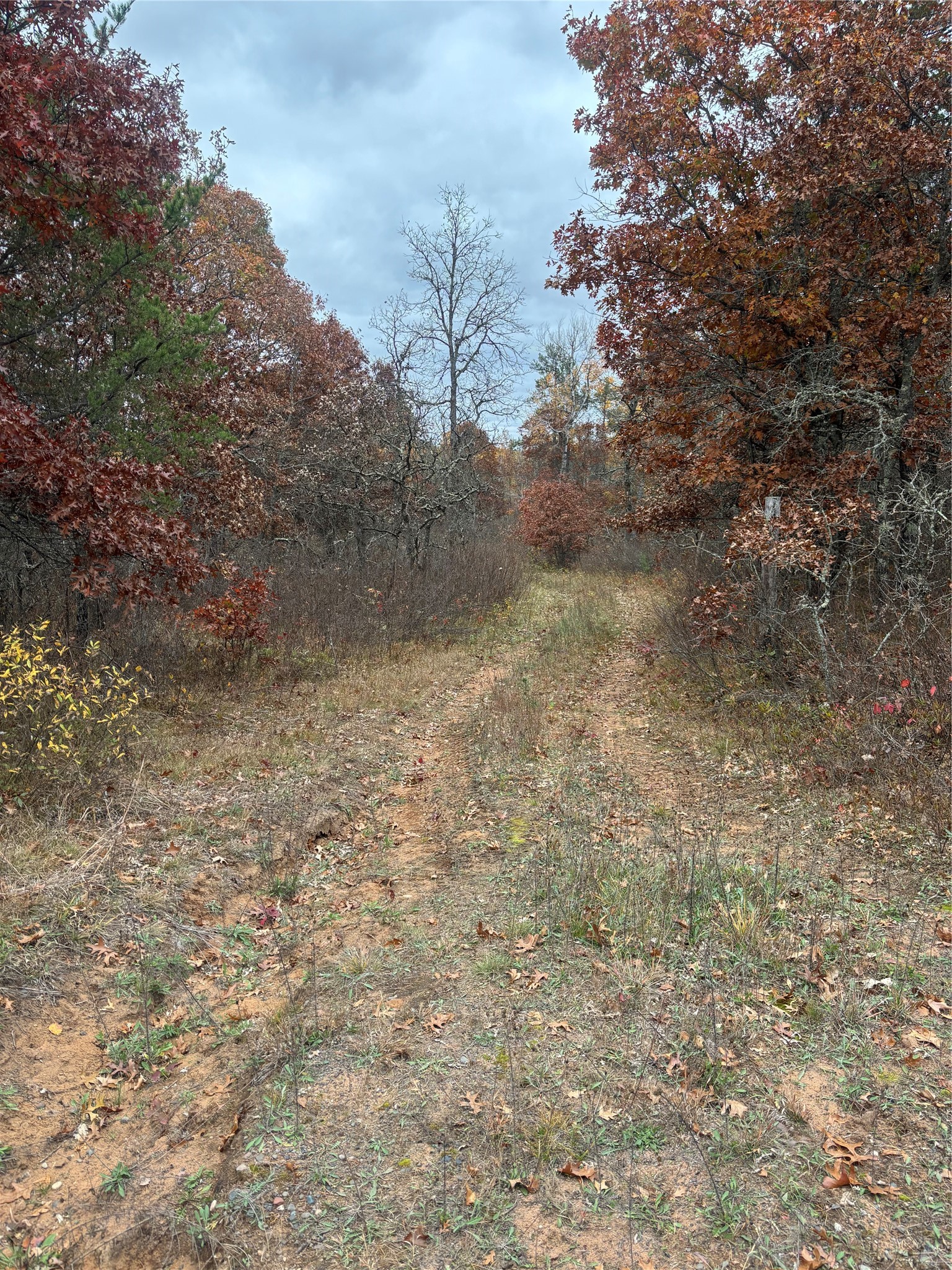9524 E Bergen Springs Road Property Photo 33