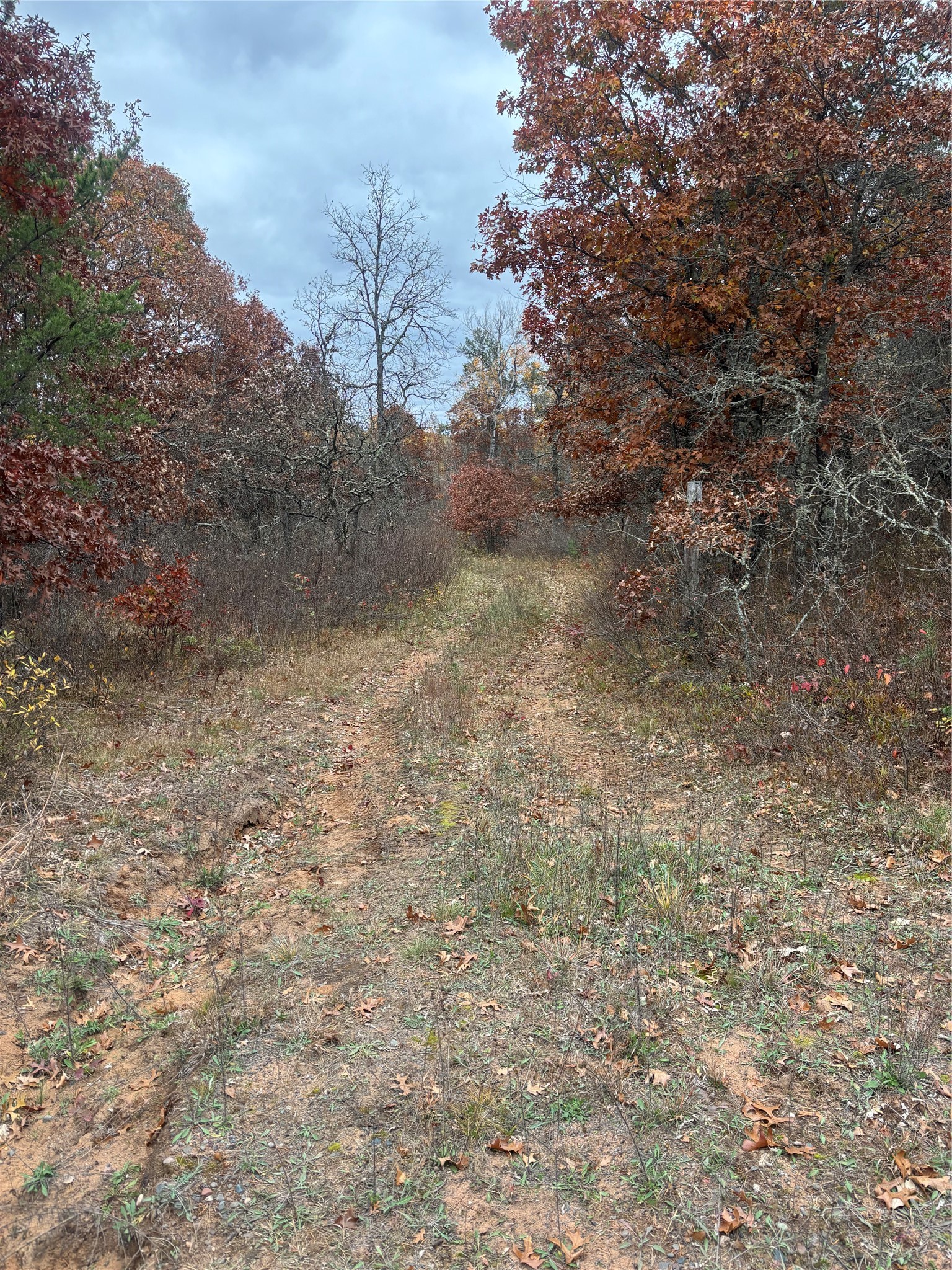 9524 E Bergen Springs Road Property Photo 34