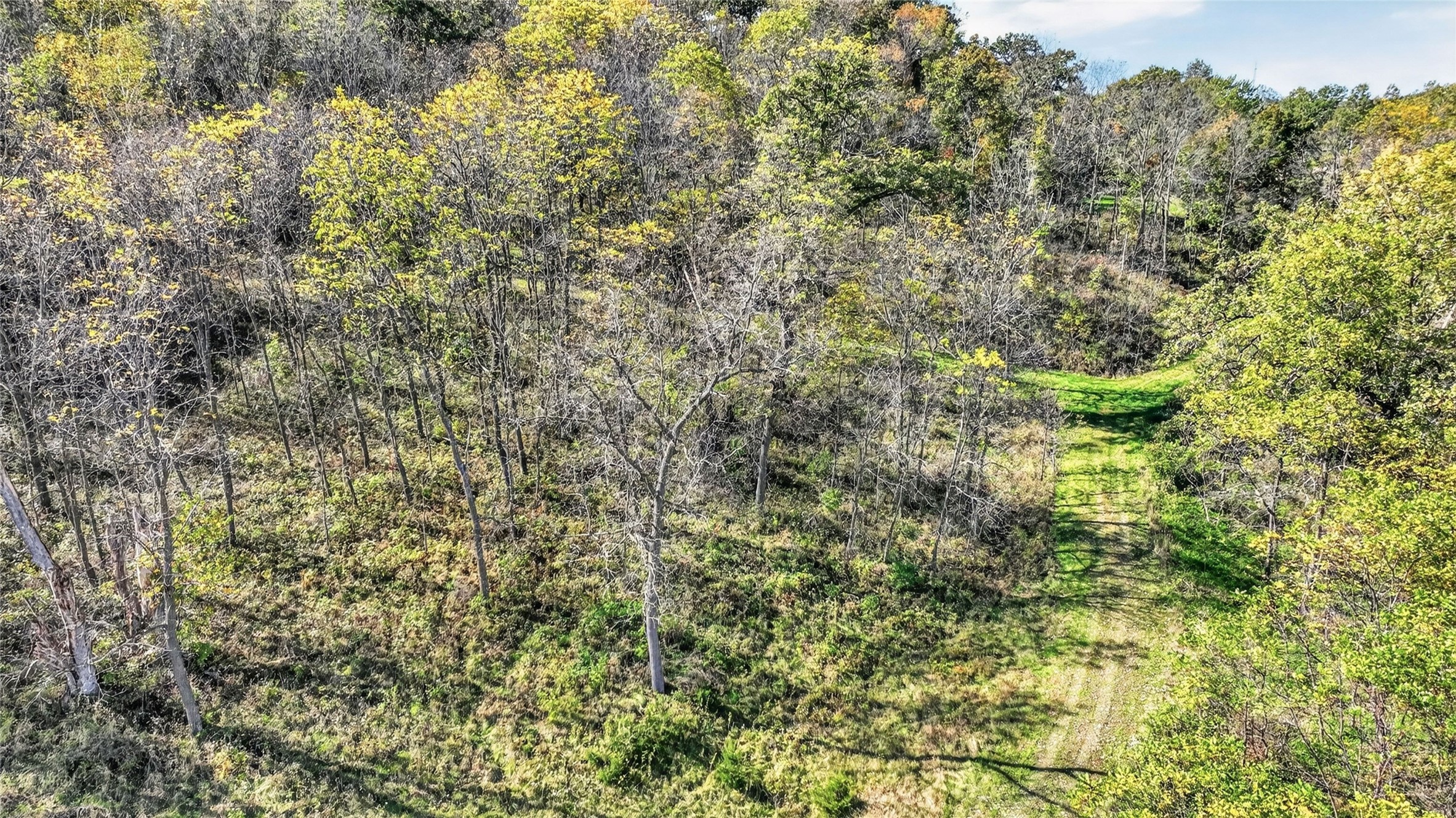 Xxx N Creek Road Property Photo 10