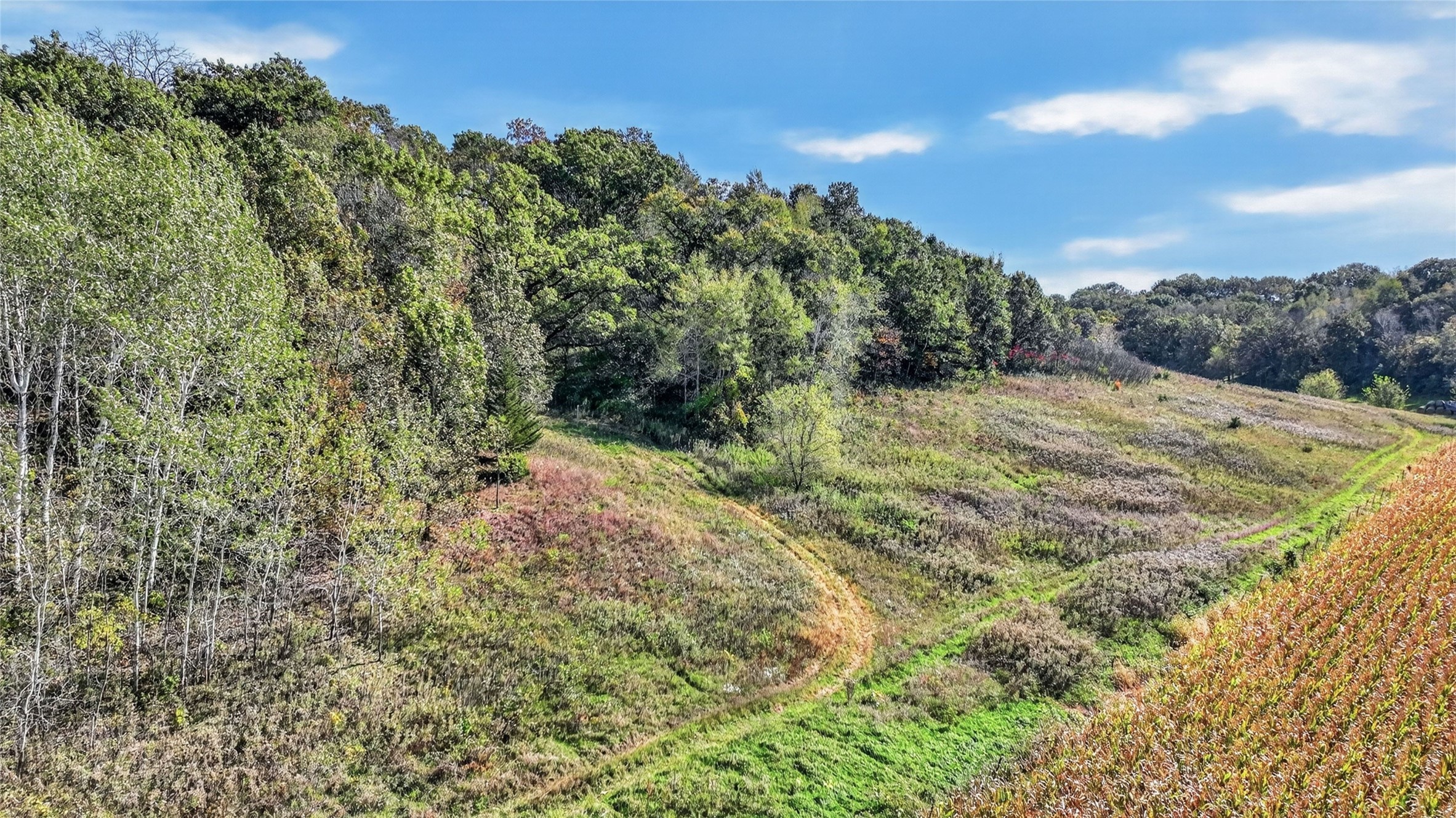 Xxx N Creek Road Property Photo 19