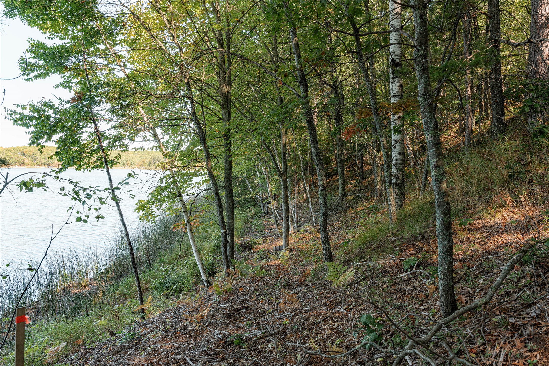 0 E Long Lake Road Property Photo 3