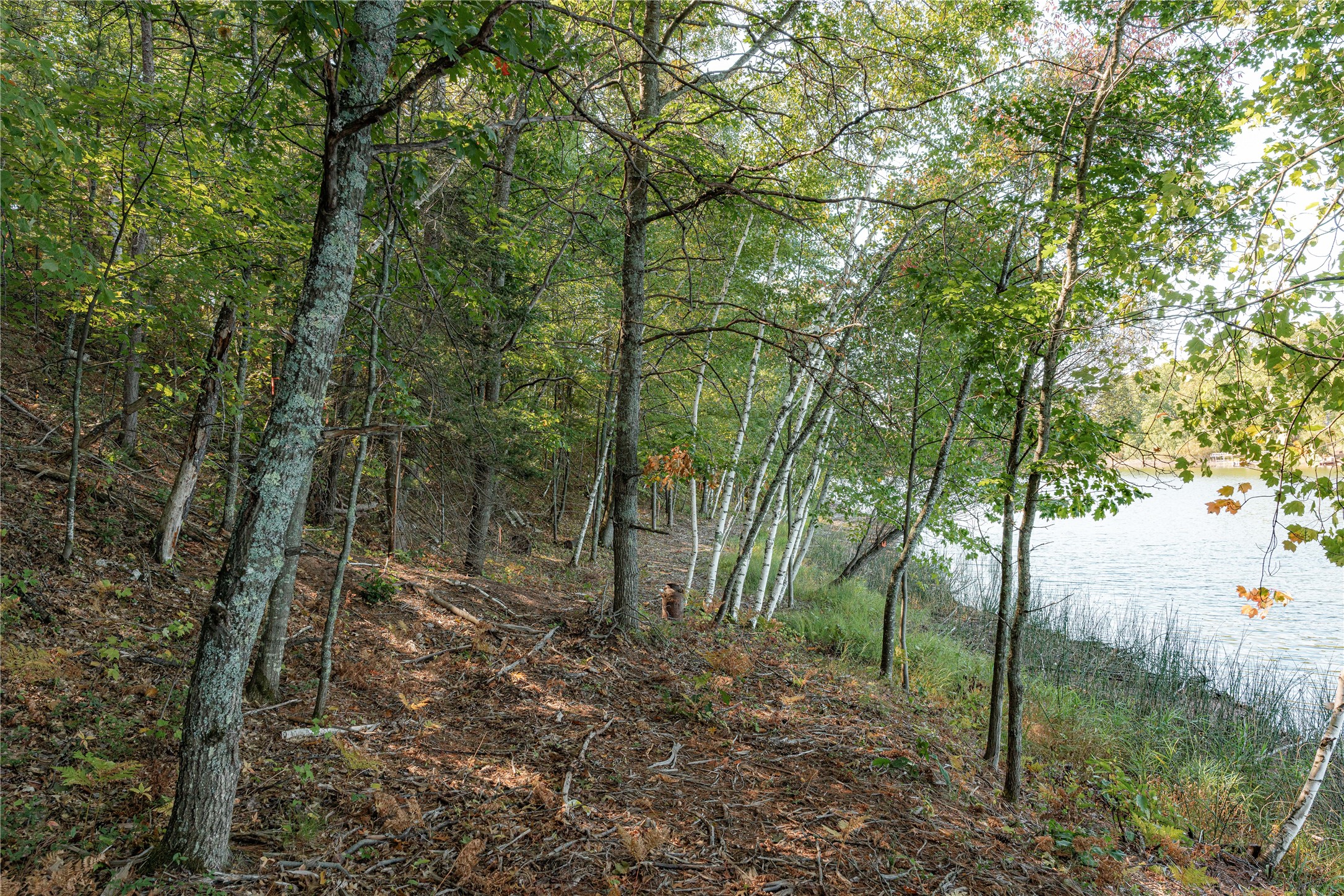 0 E Long Lake Road Property Photo 5