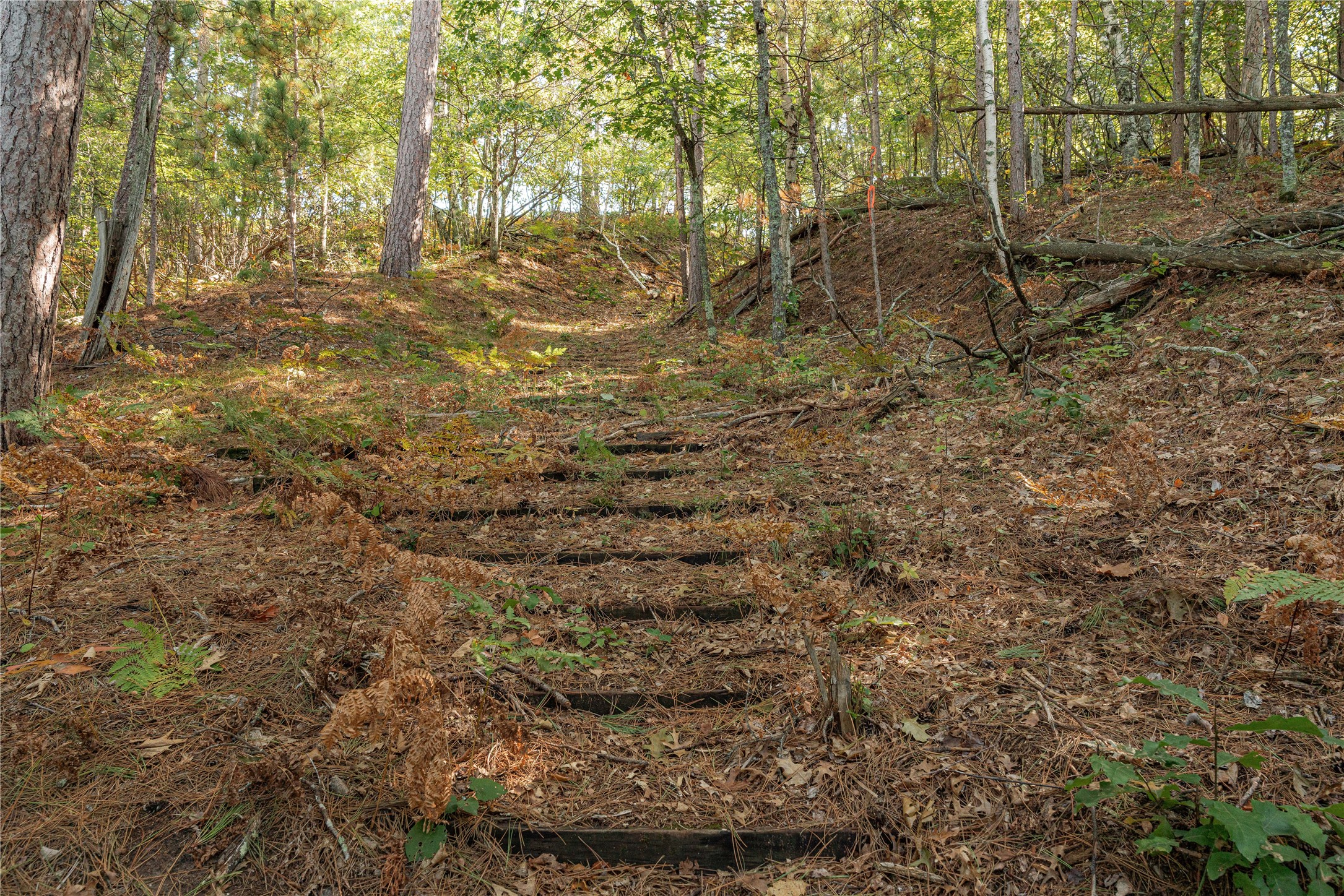 0 E Long Lake Road Property Photo 8