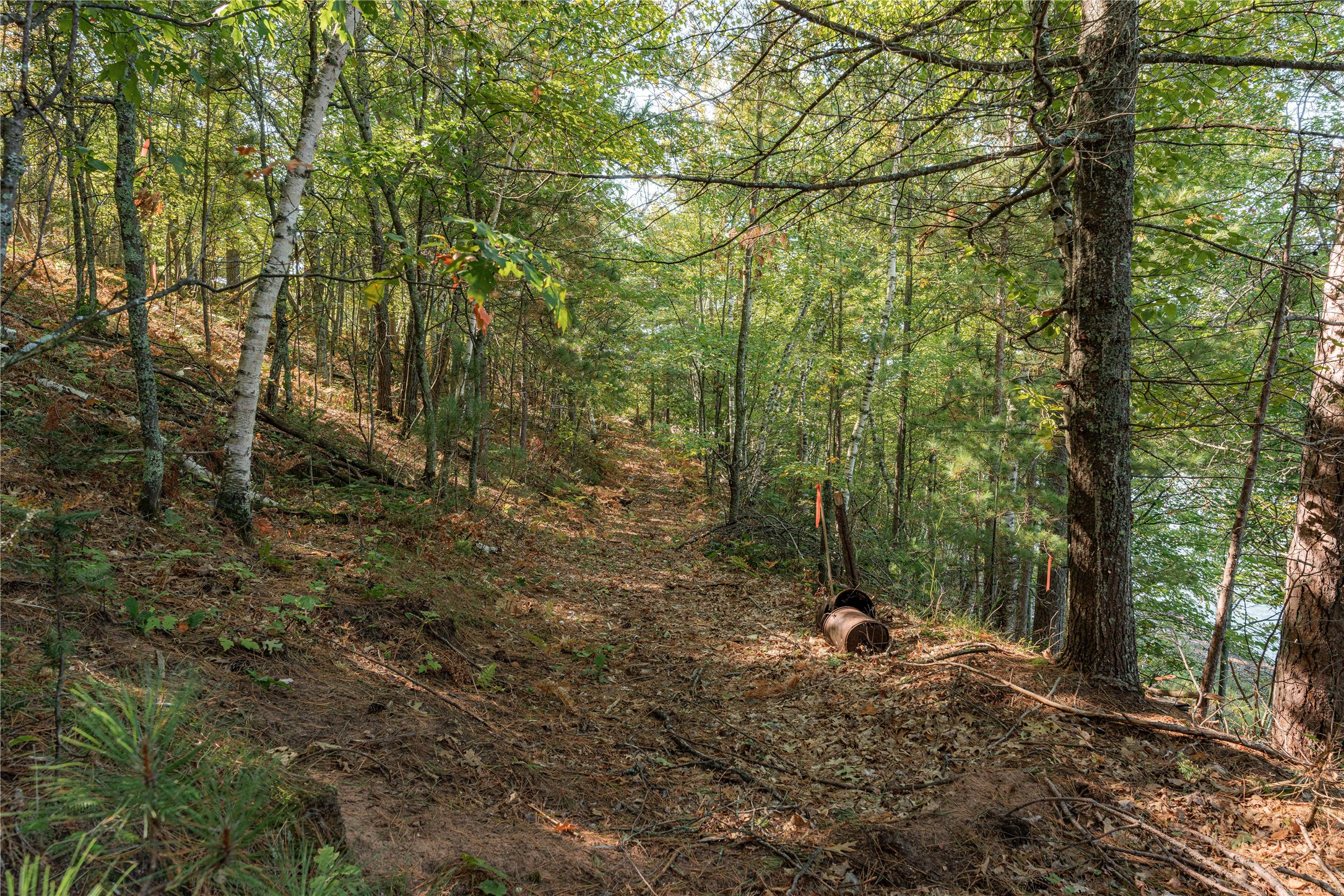 0 E Long Lake Road Property Photo 9