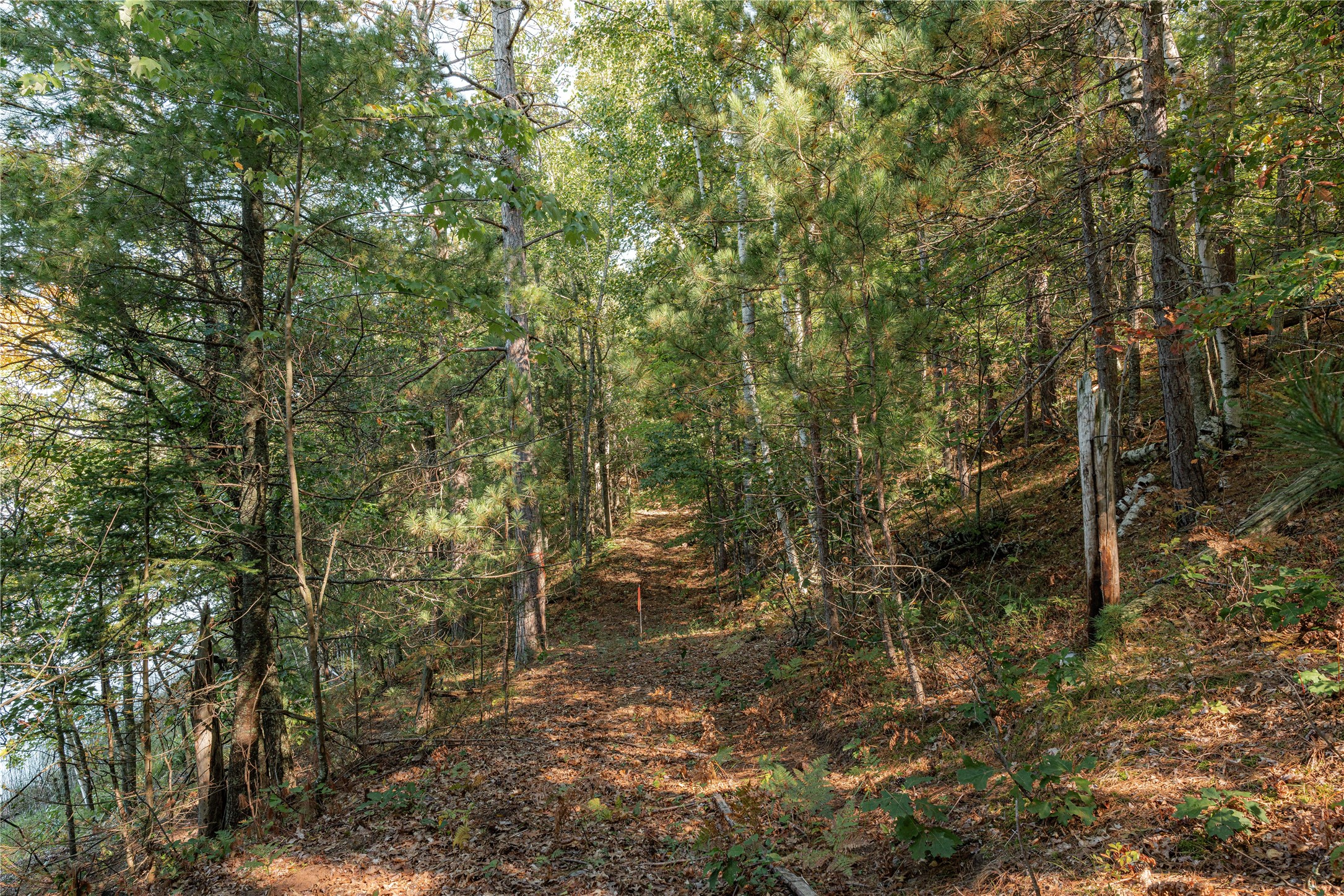 0 E Long Lake Road Property Photo 10