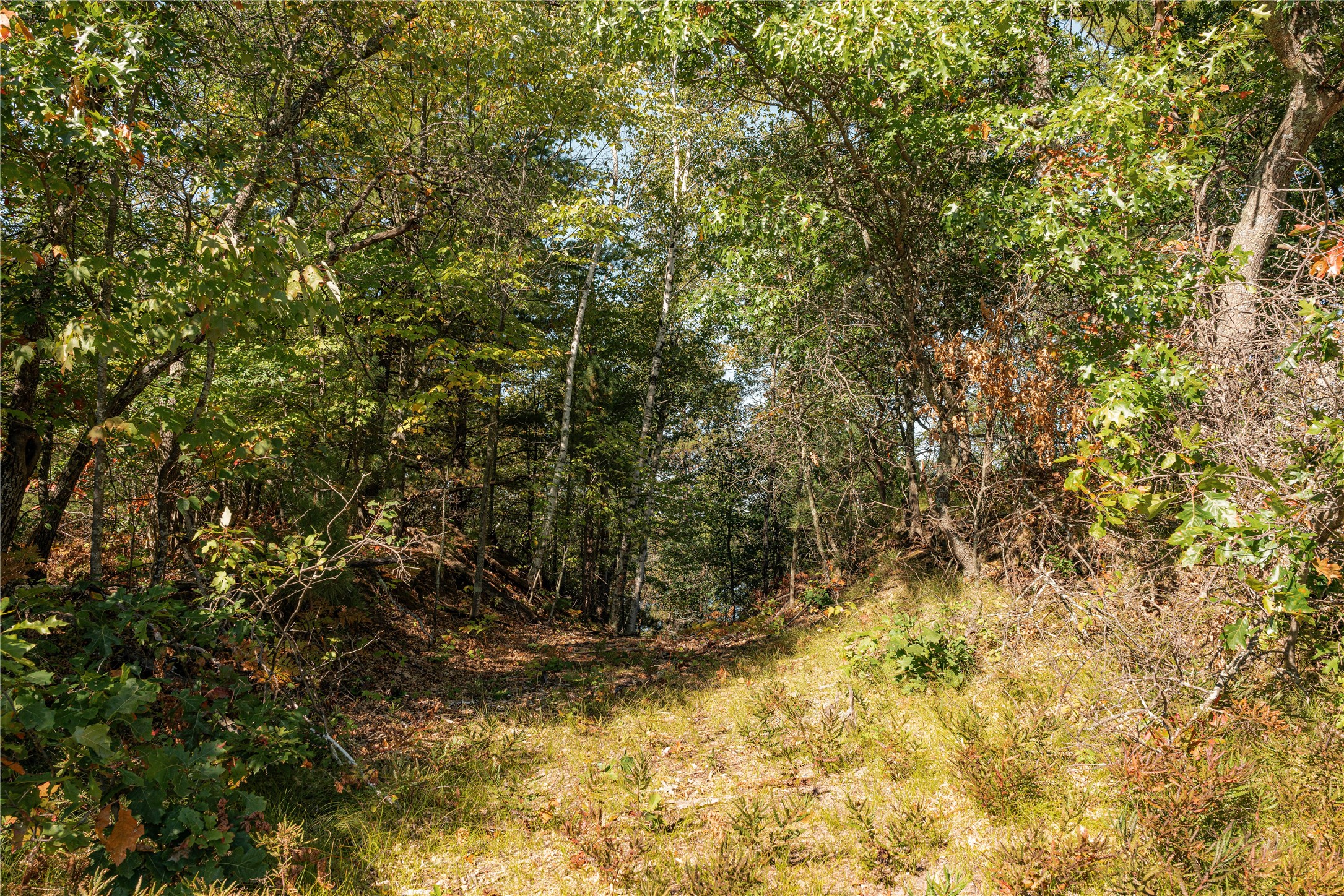 0 E Long Lake Road Property Photo 12