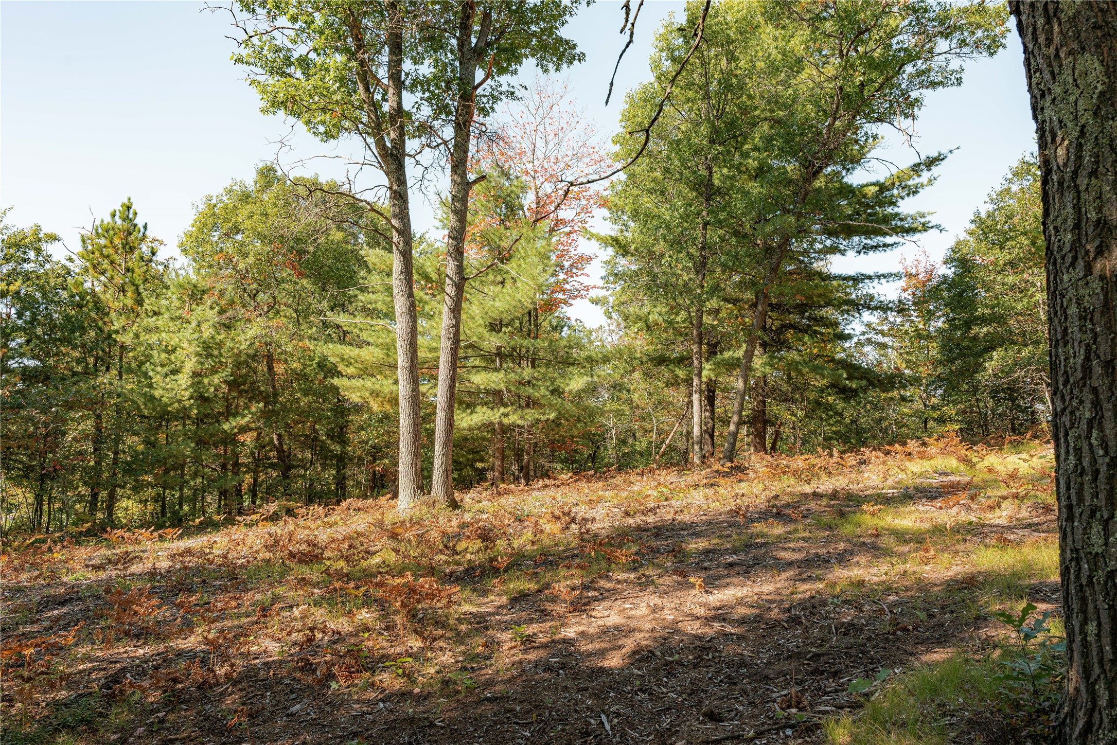 0 E Long Lake Road Property Photo 13