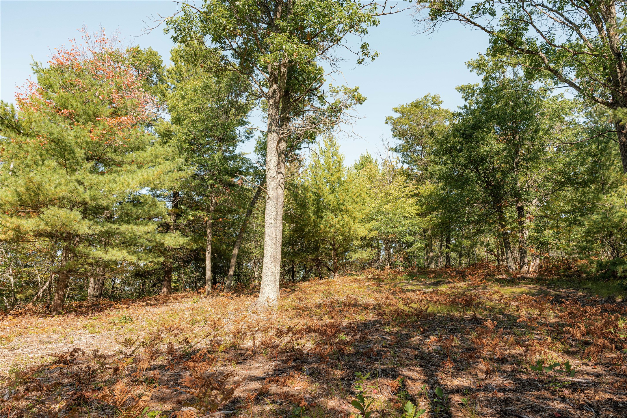 0 E Long Lake Road Property Photo 14