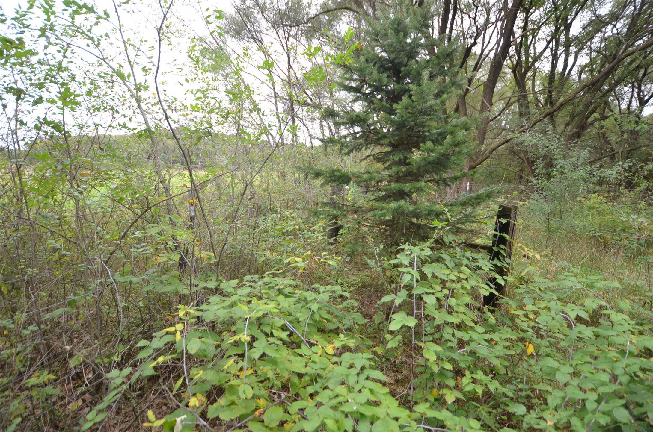 N47414 County Road Y Property Photo 7
