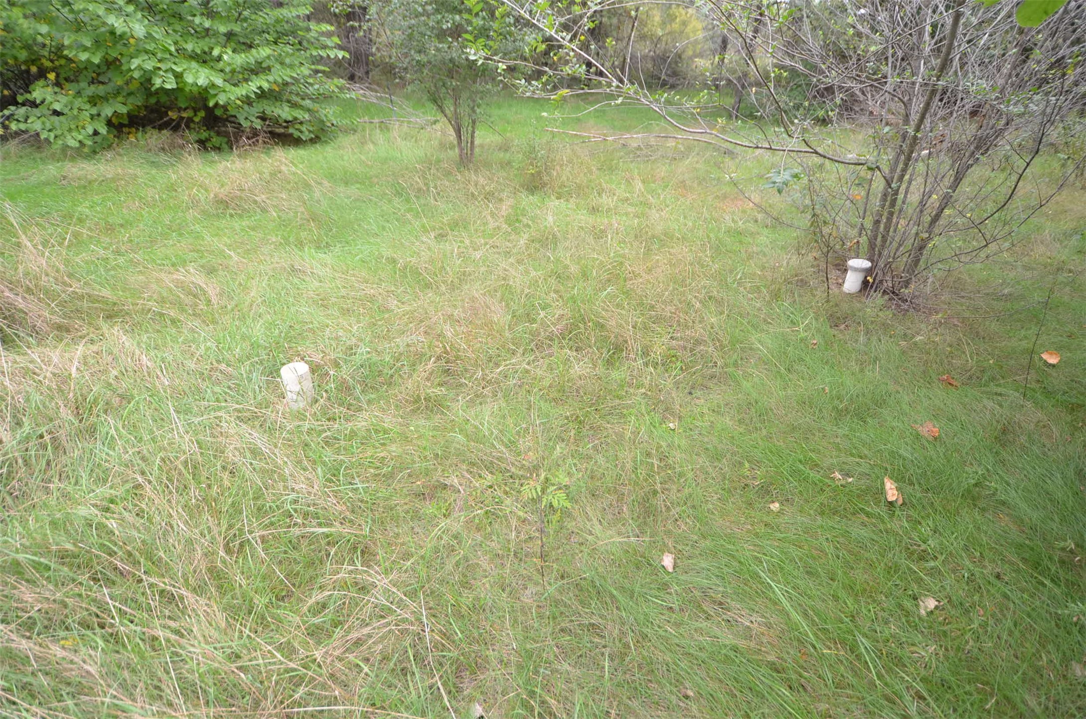 N47414 County Road Y Property Photo 51