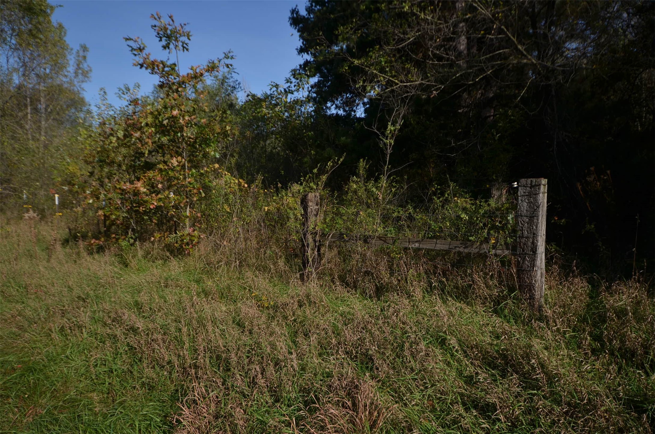 N47414 County Road Y Property Photo 53