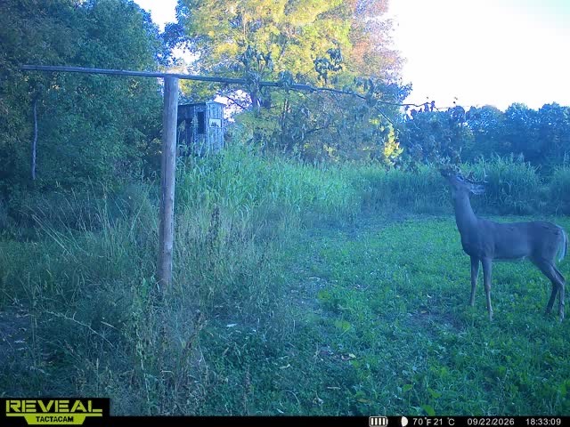 965 340th Avenue Property Photo 51