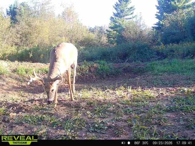 965 340th Avenue Property Photo 55