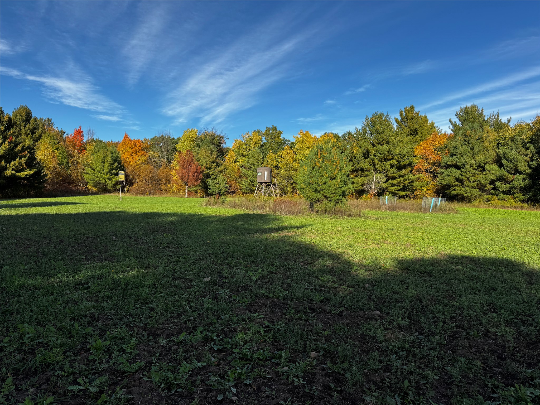3461 56th Street Property Photo 42