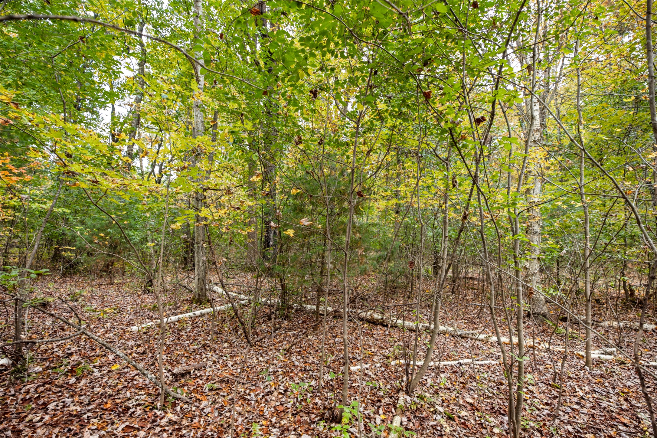 6507 Tower Drive Property Photo 8