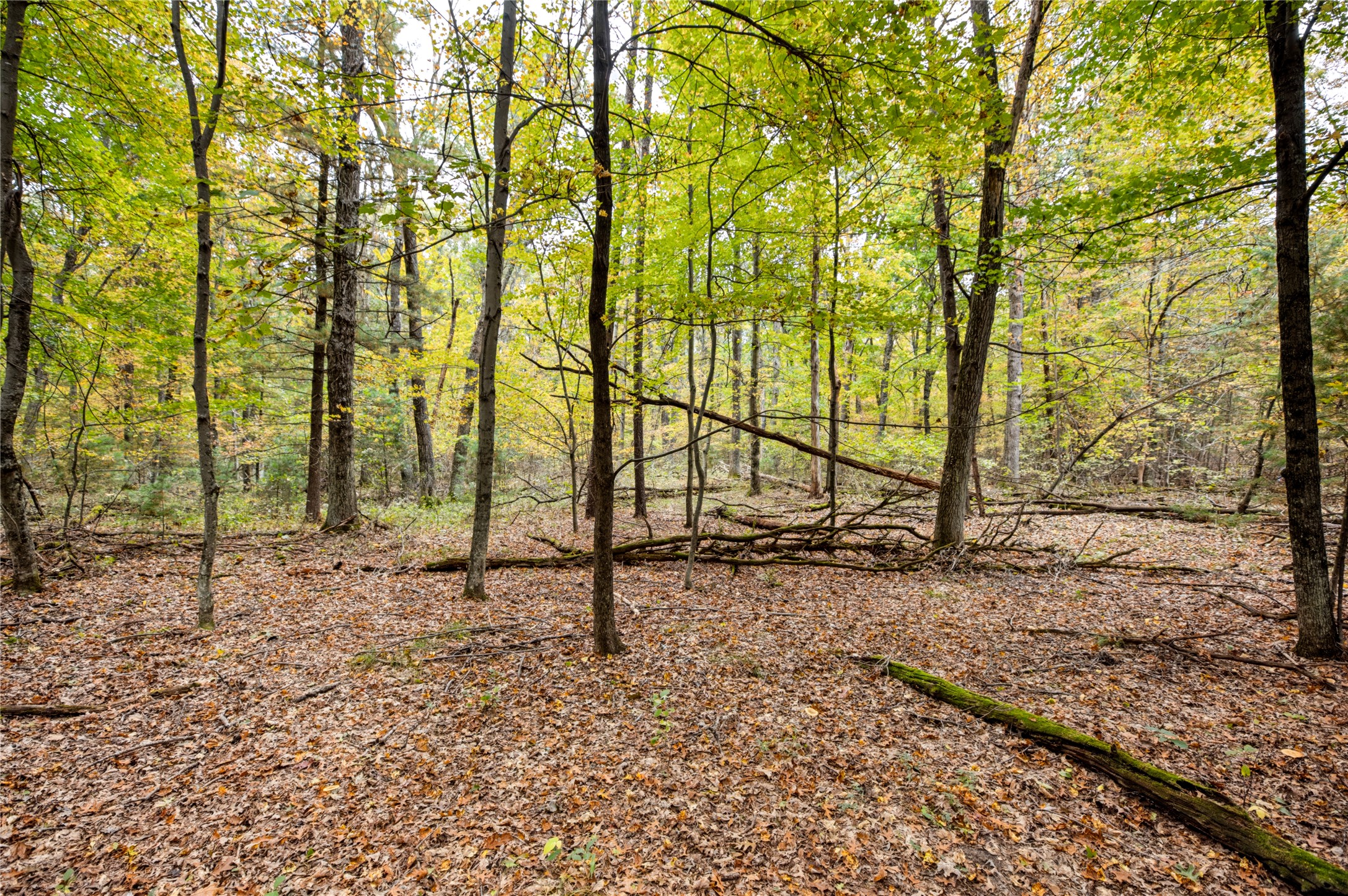 6507 Tower Drive Property Photo 11