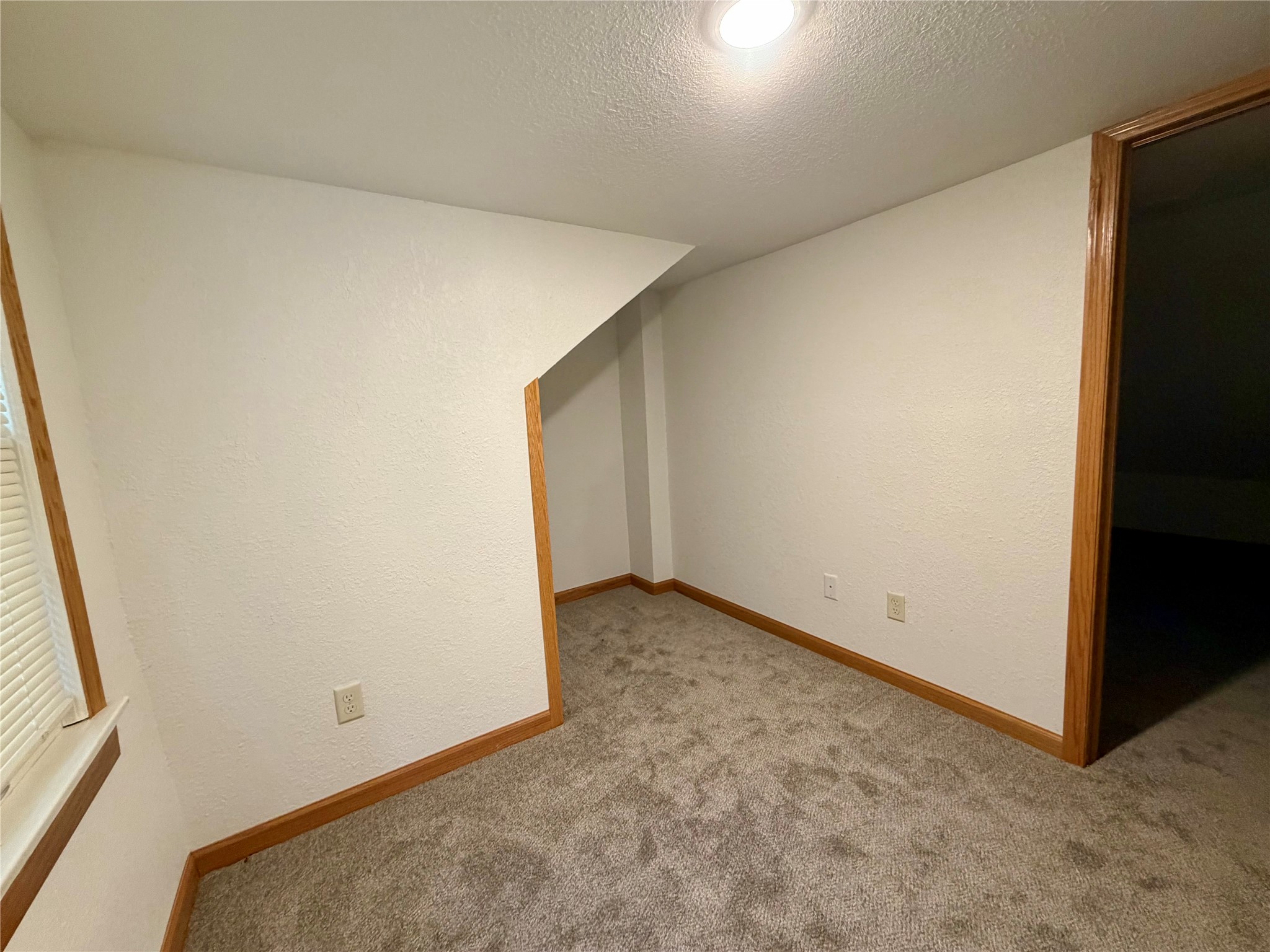 2519 Peebles Street Property Photo 13
