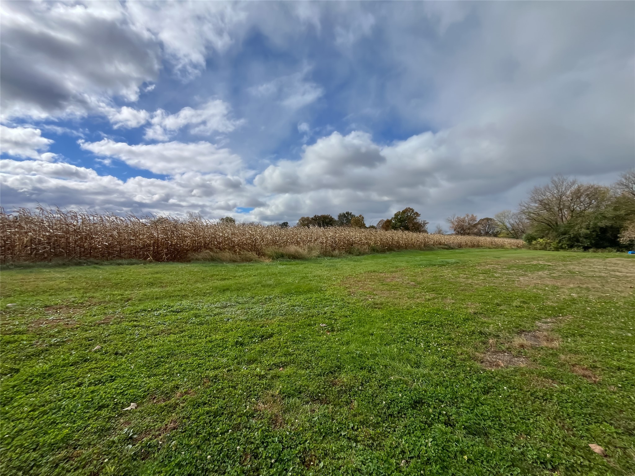 38.40 Acres Highway 29 & Midway Road Property Photo 26