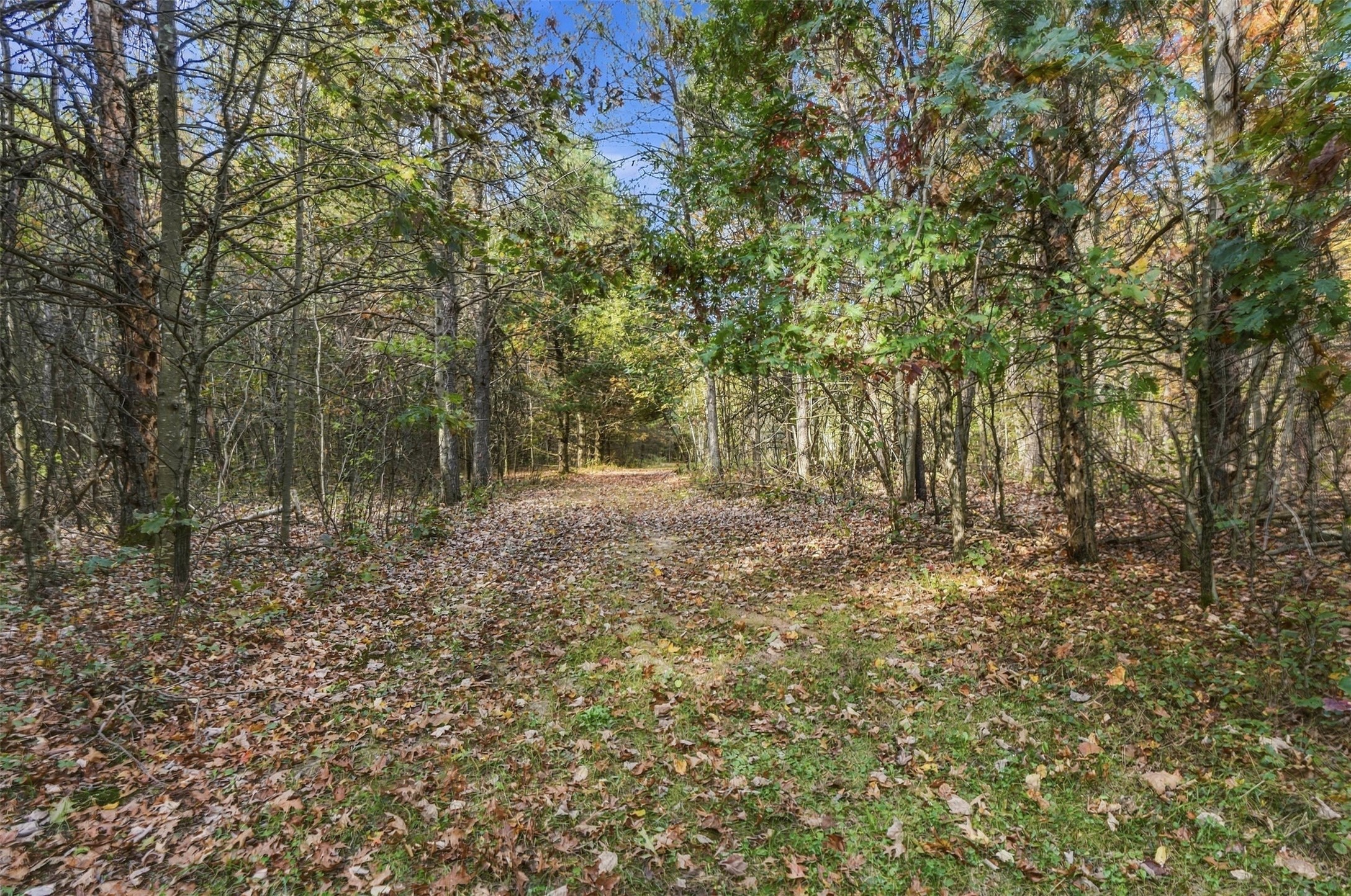 W15501 Us Highway 10 Property Photo 47