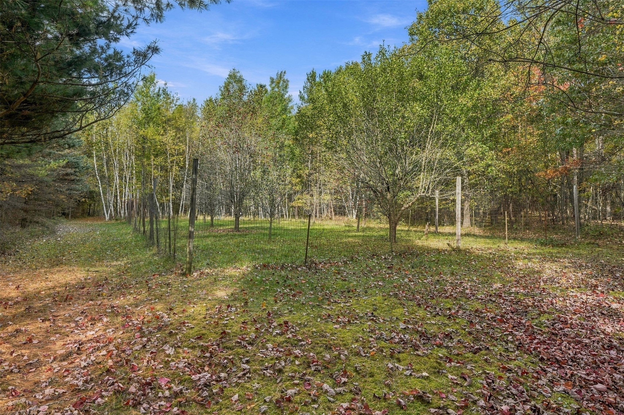 W15501 Us Highway 10 Property Photo 48