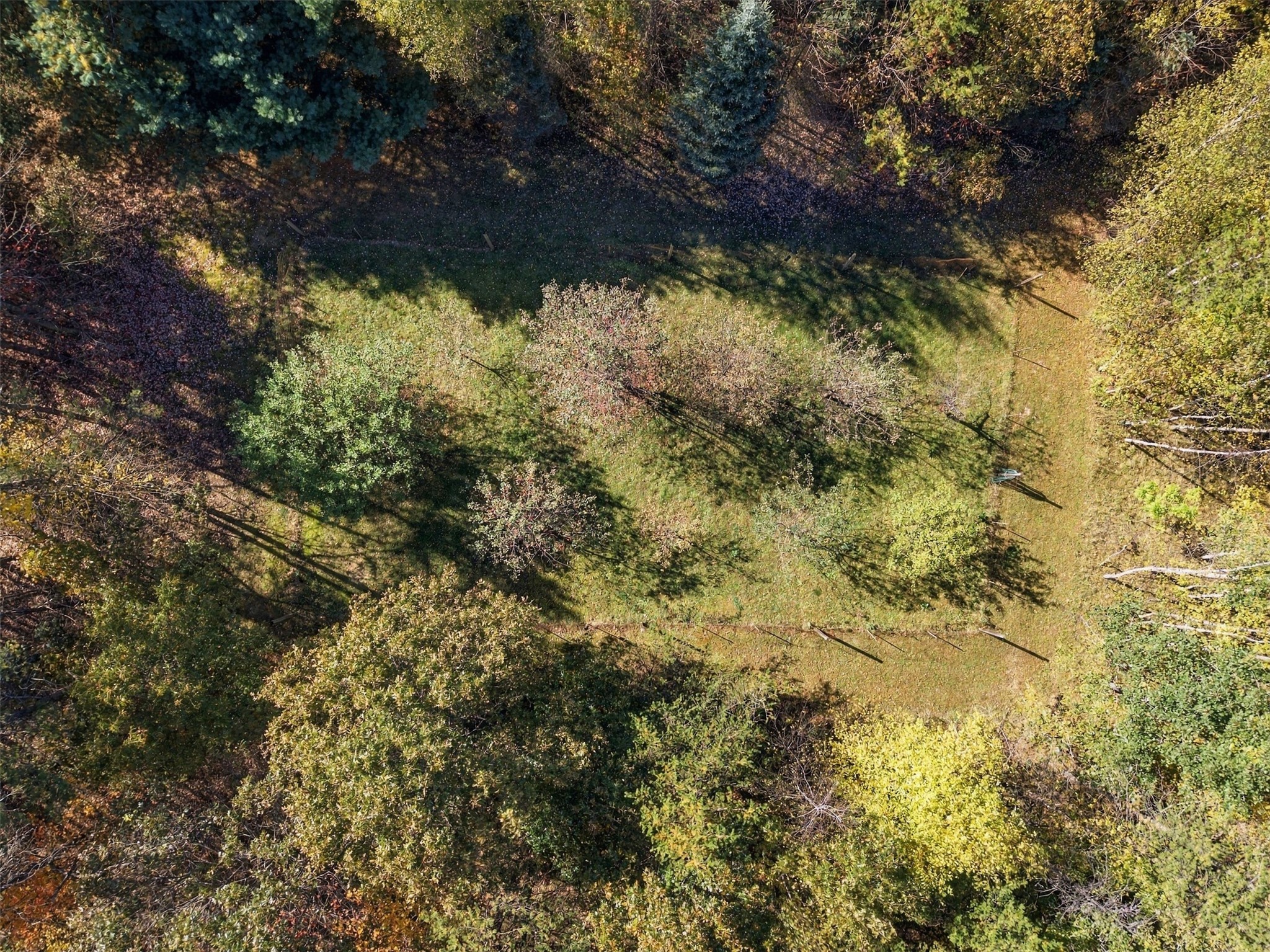 W15501 Us Highway 10 Property Photo 53