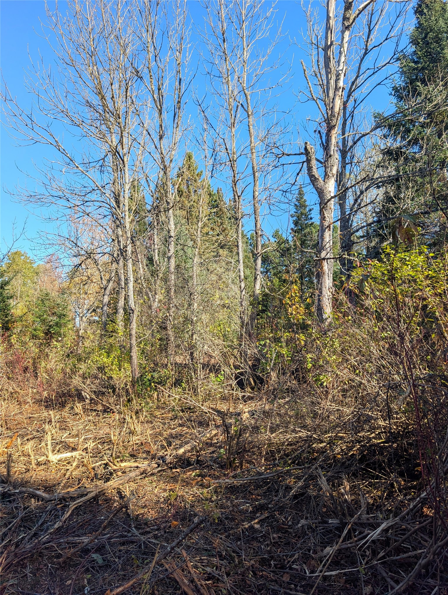 00 Broadway Road Property Photo 8
